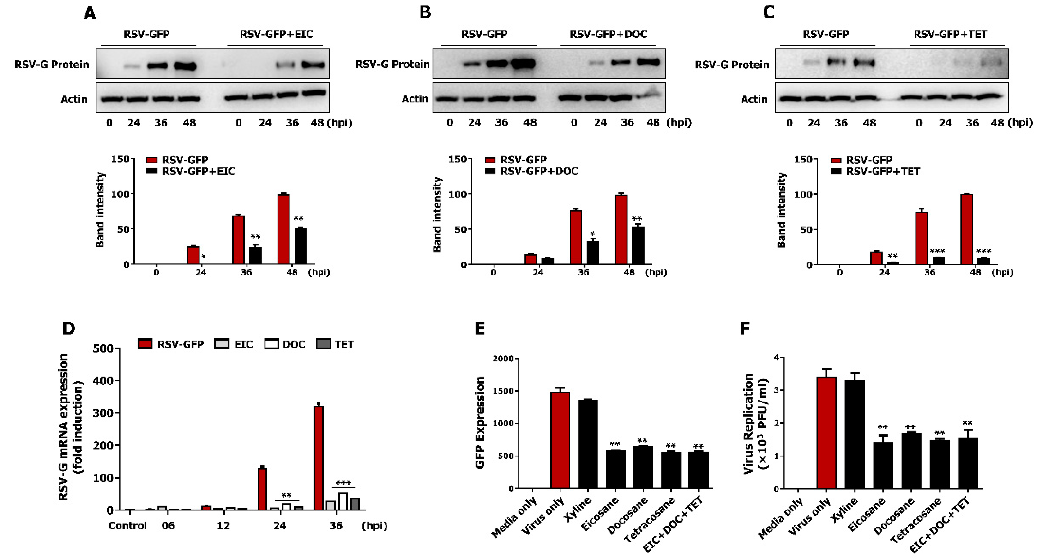 Viruses 13 00548 g005
