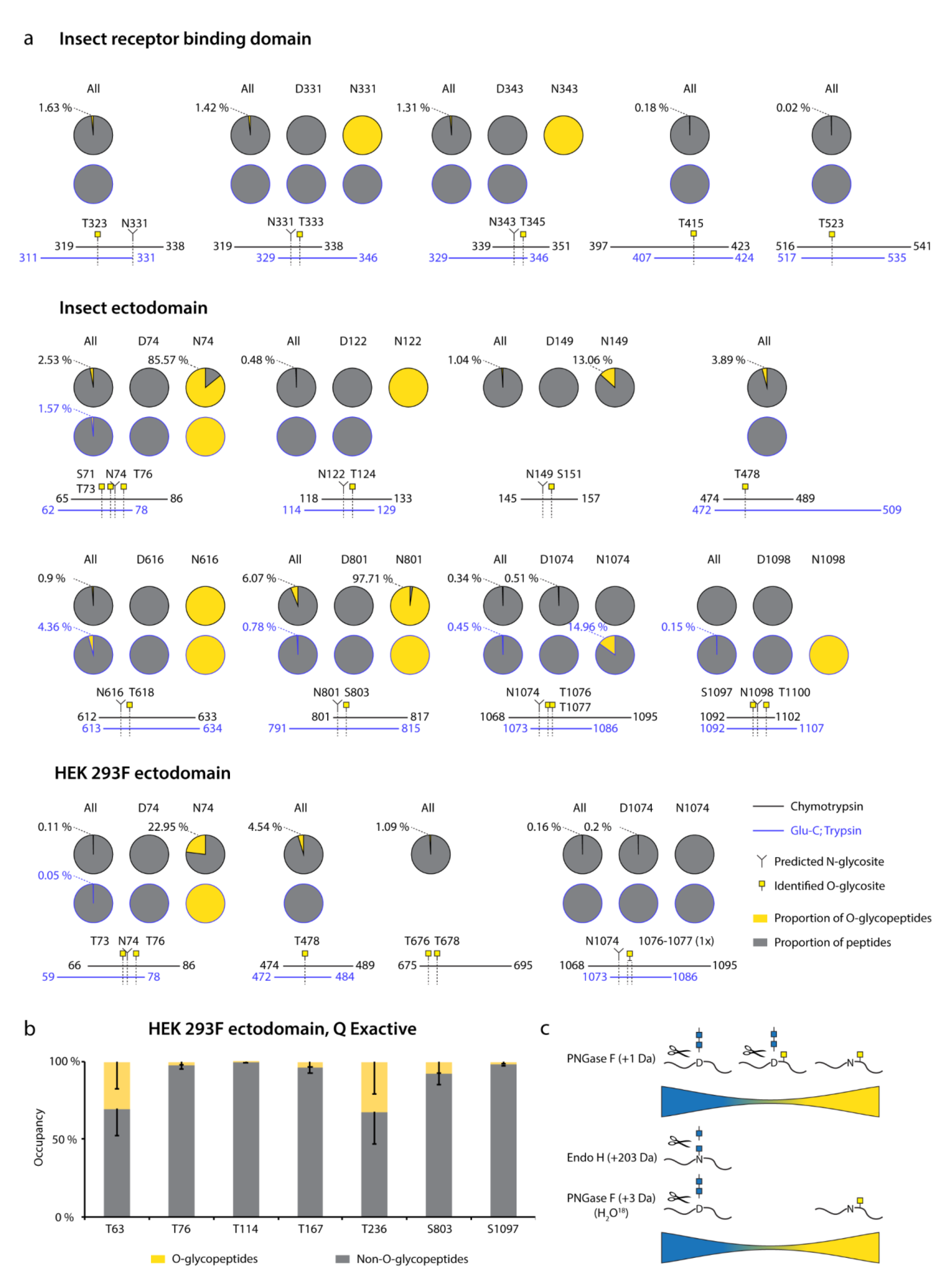 Viruses 13 00551 g003