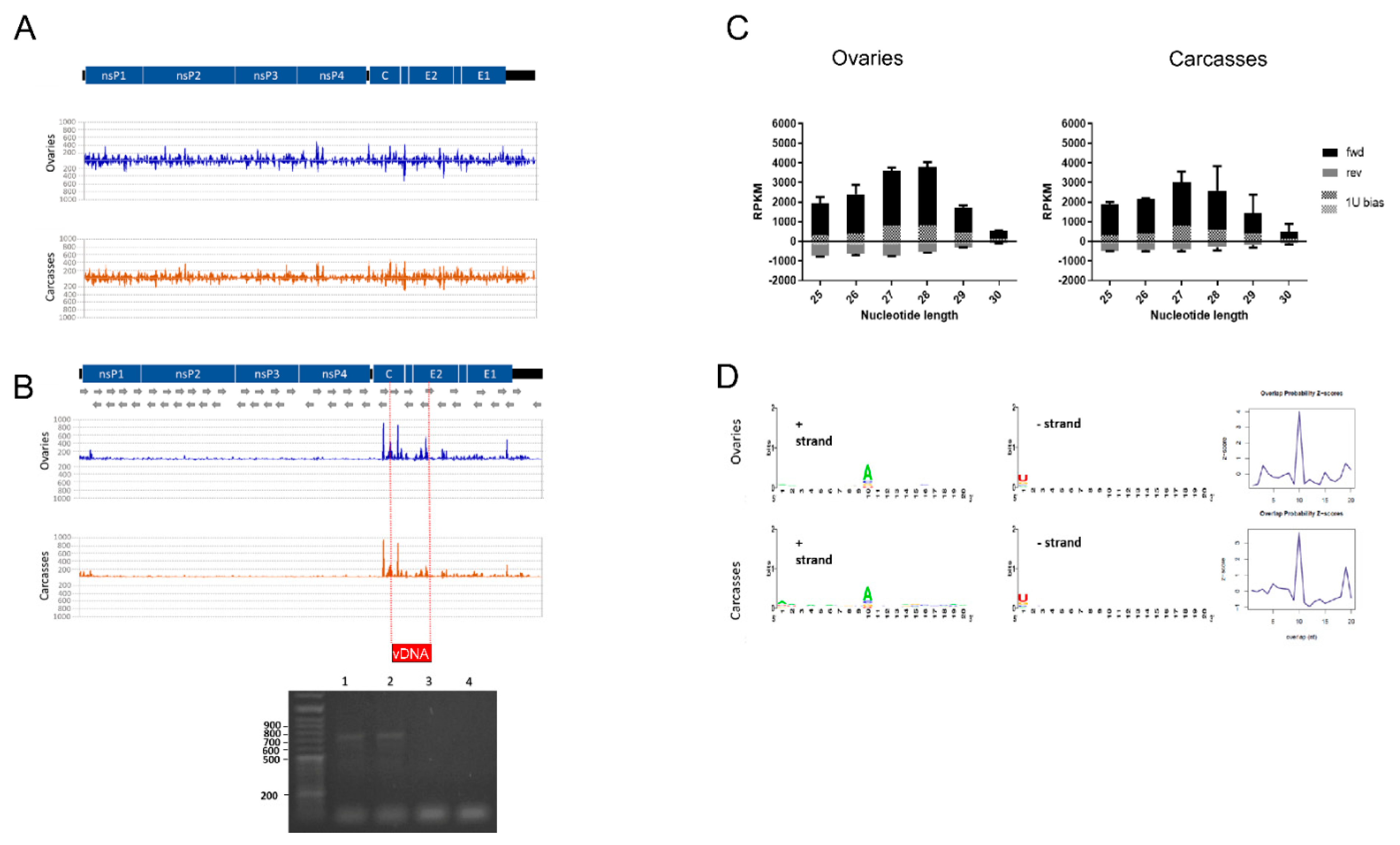 Viruses 13 00553 g002