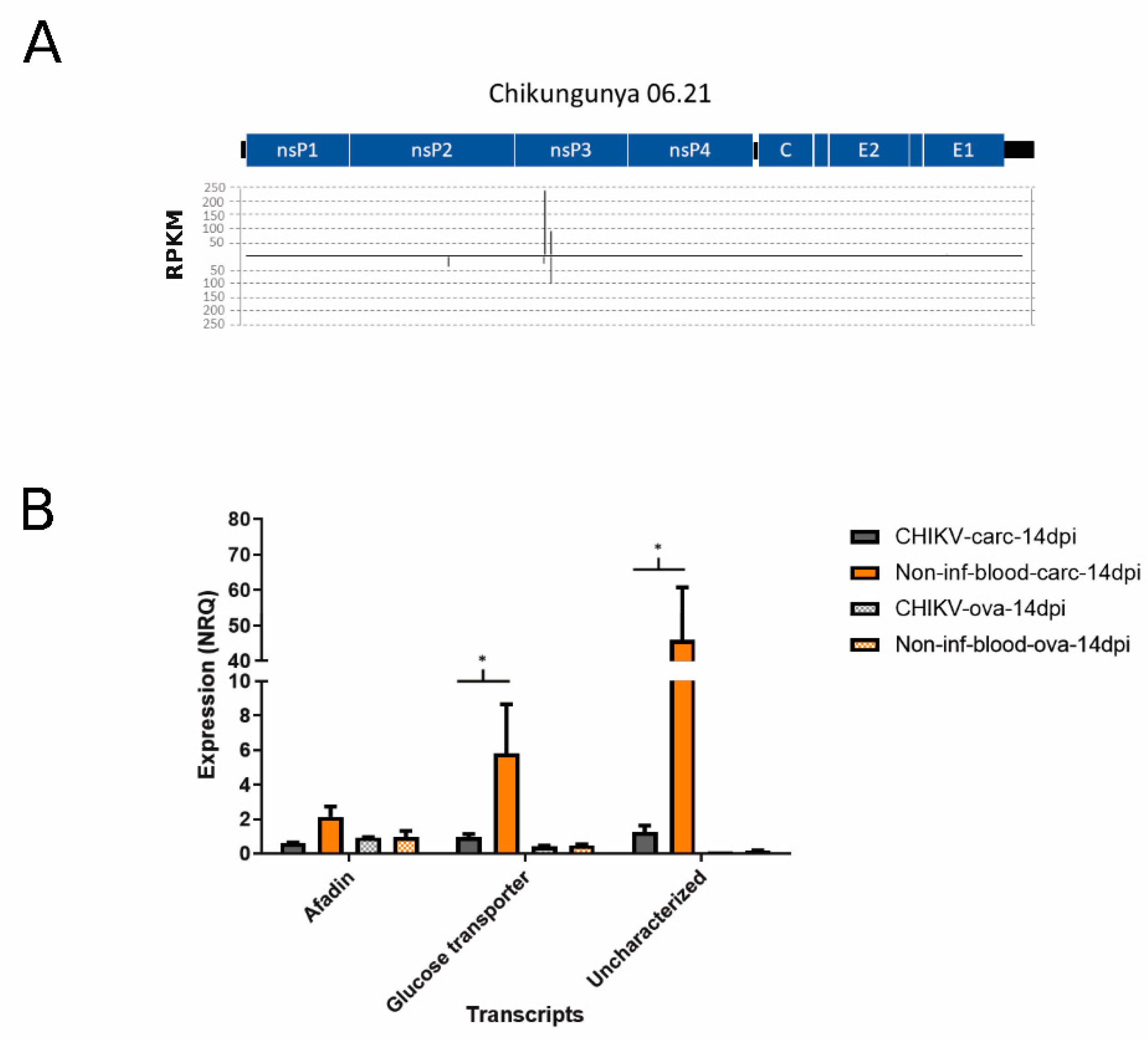 Viruses 13 00553 g003