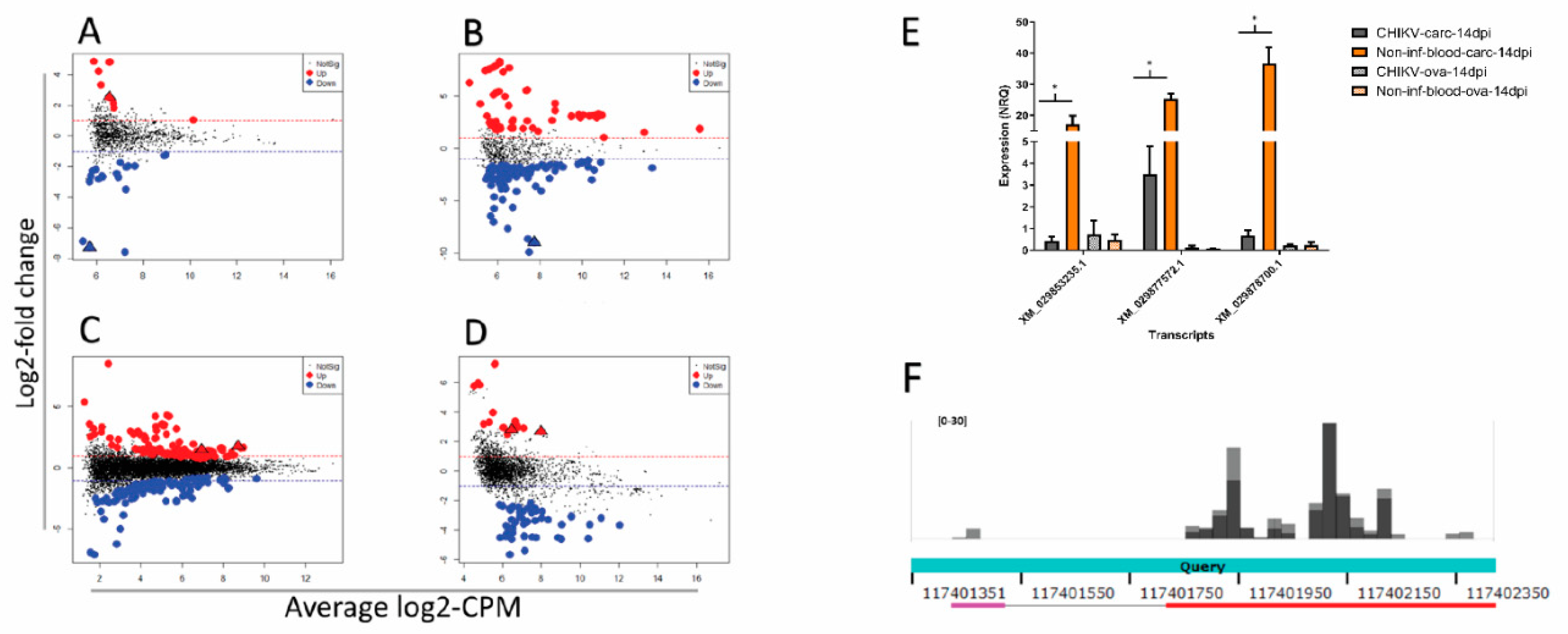 Viruses 13 00553 g004