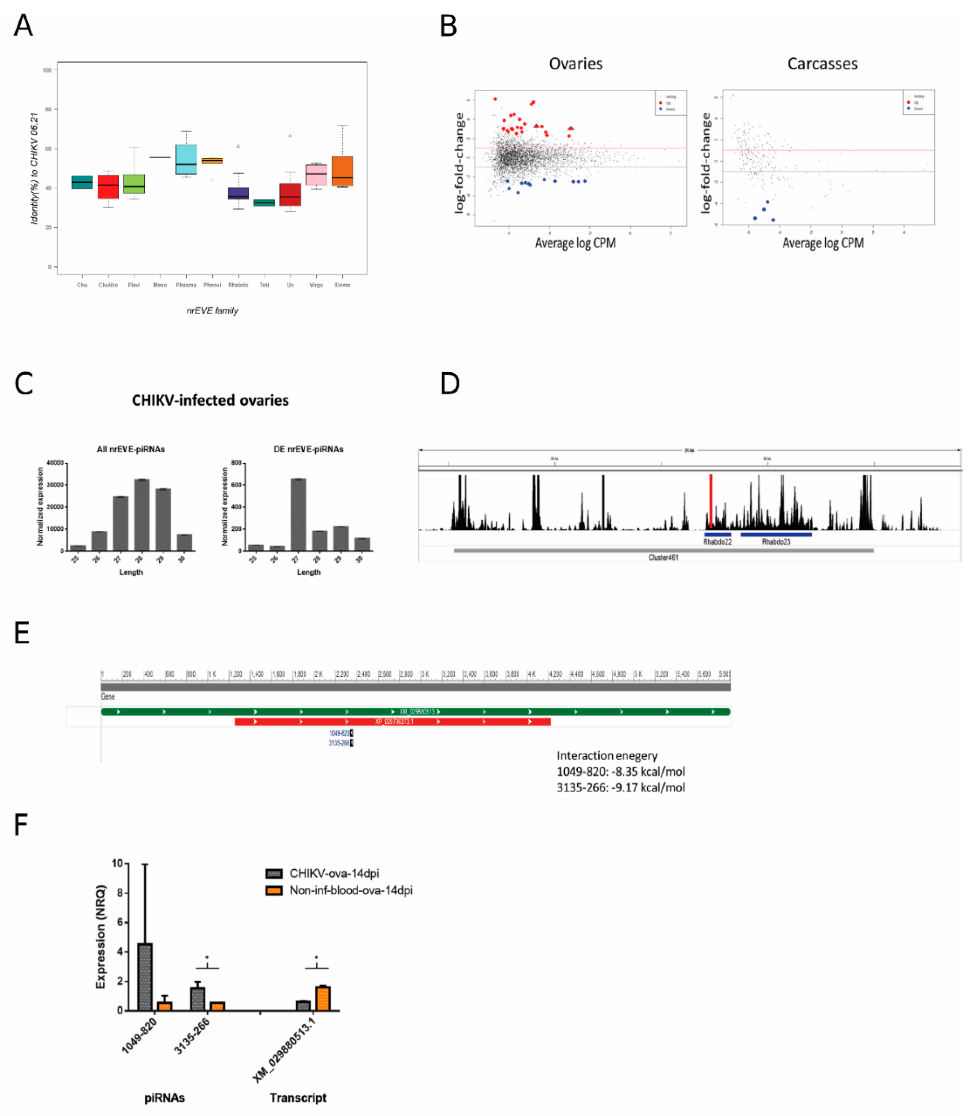 Viruses 13 00553 g005