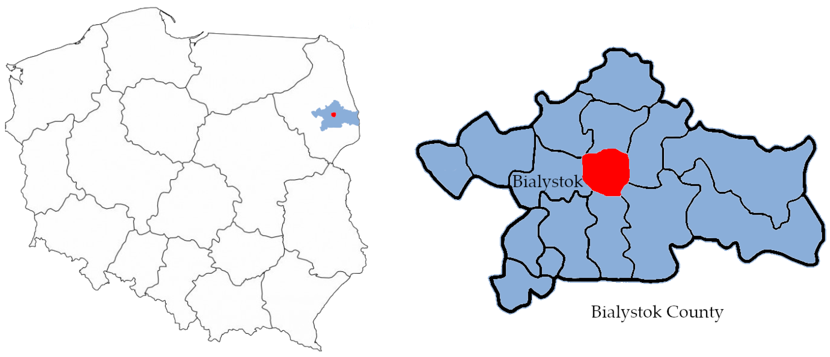 Viruses 13 00556 g001