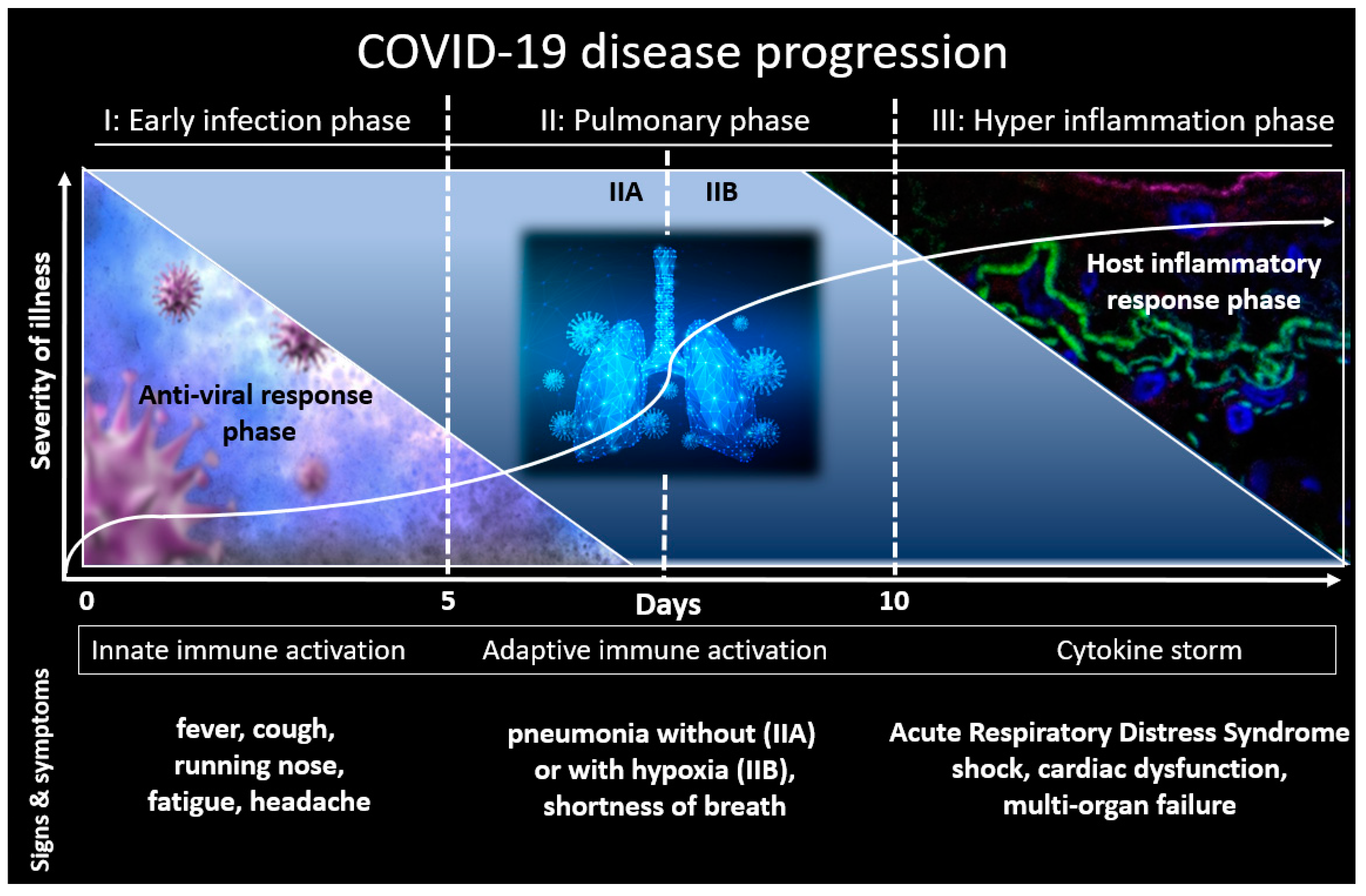 Viruses 13 00558 g001
