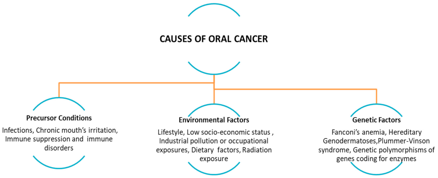 Viruses 13 00559 g001