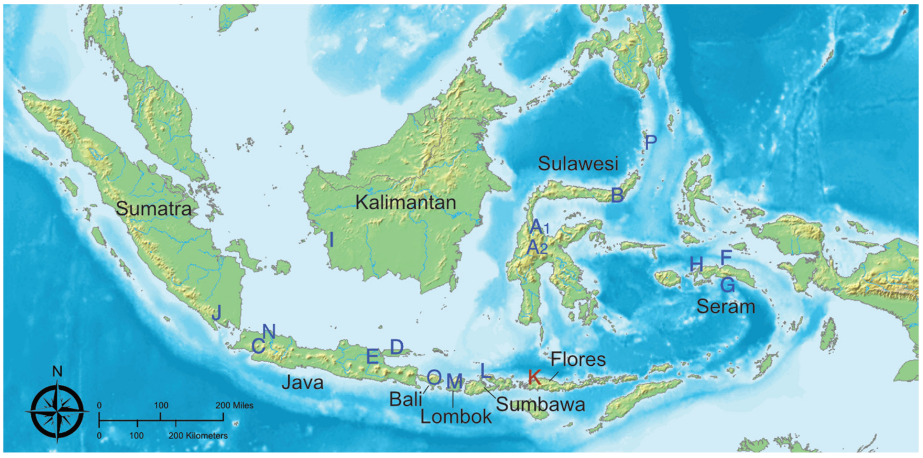 Viruses 13 00563 g001