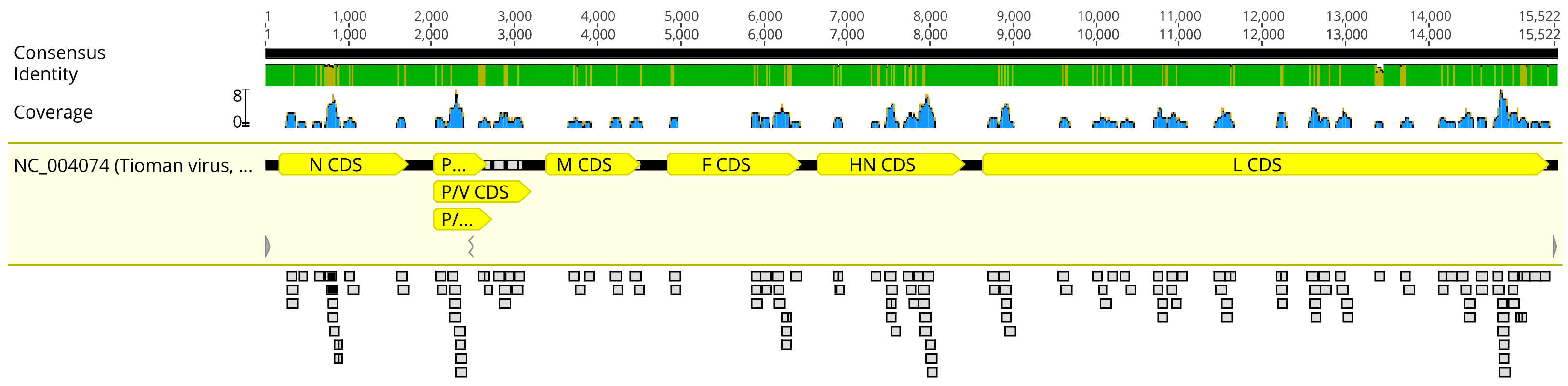 Viruses 13 00563 g002