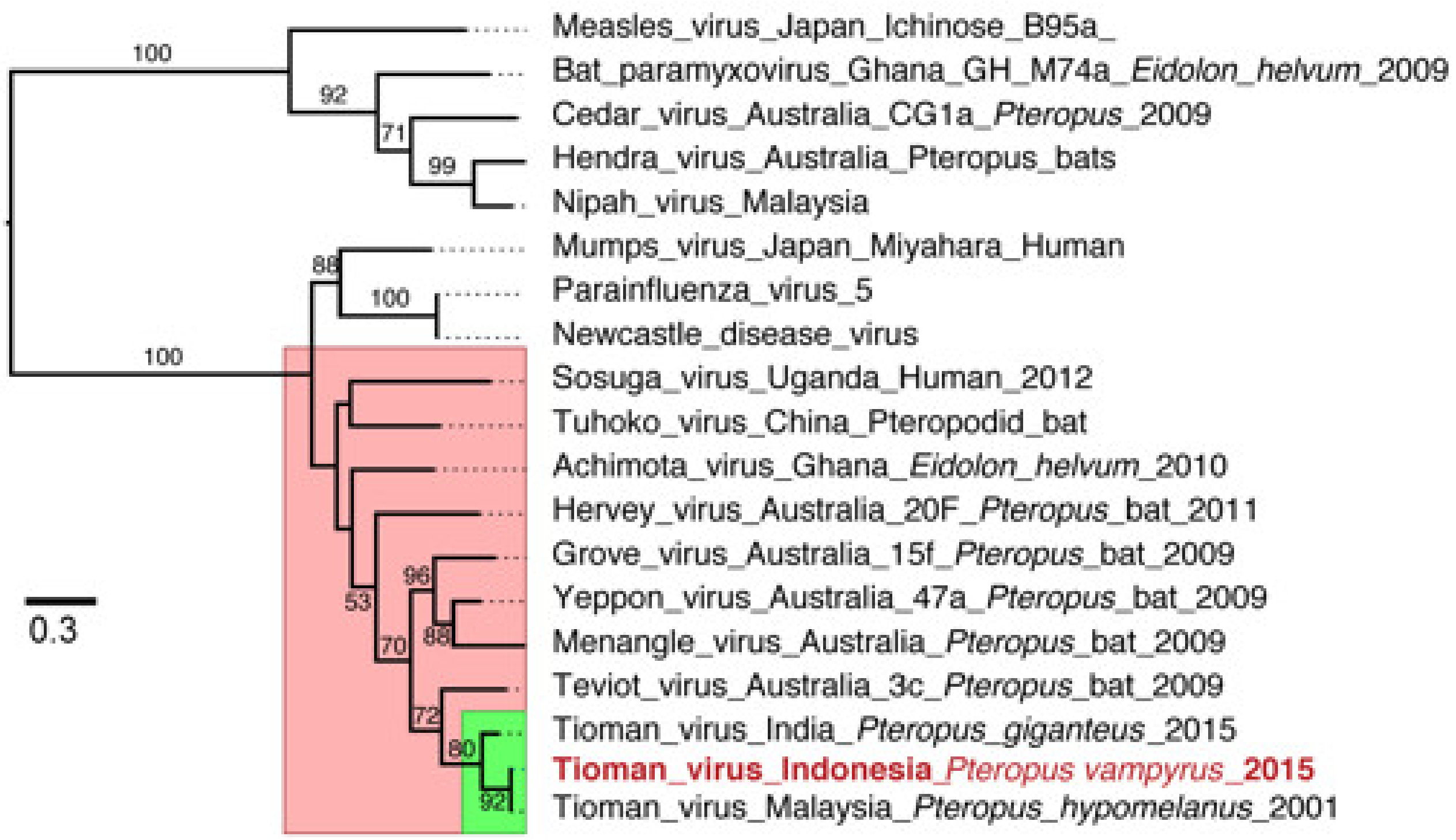 Viruses 13 00563 g003