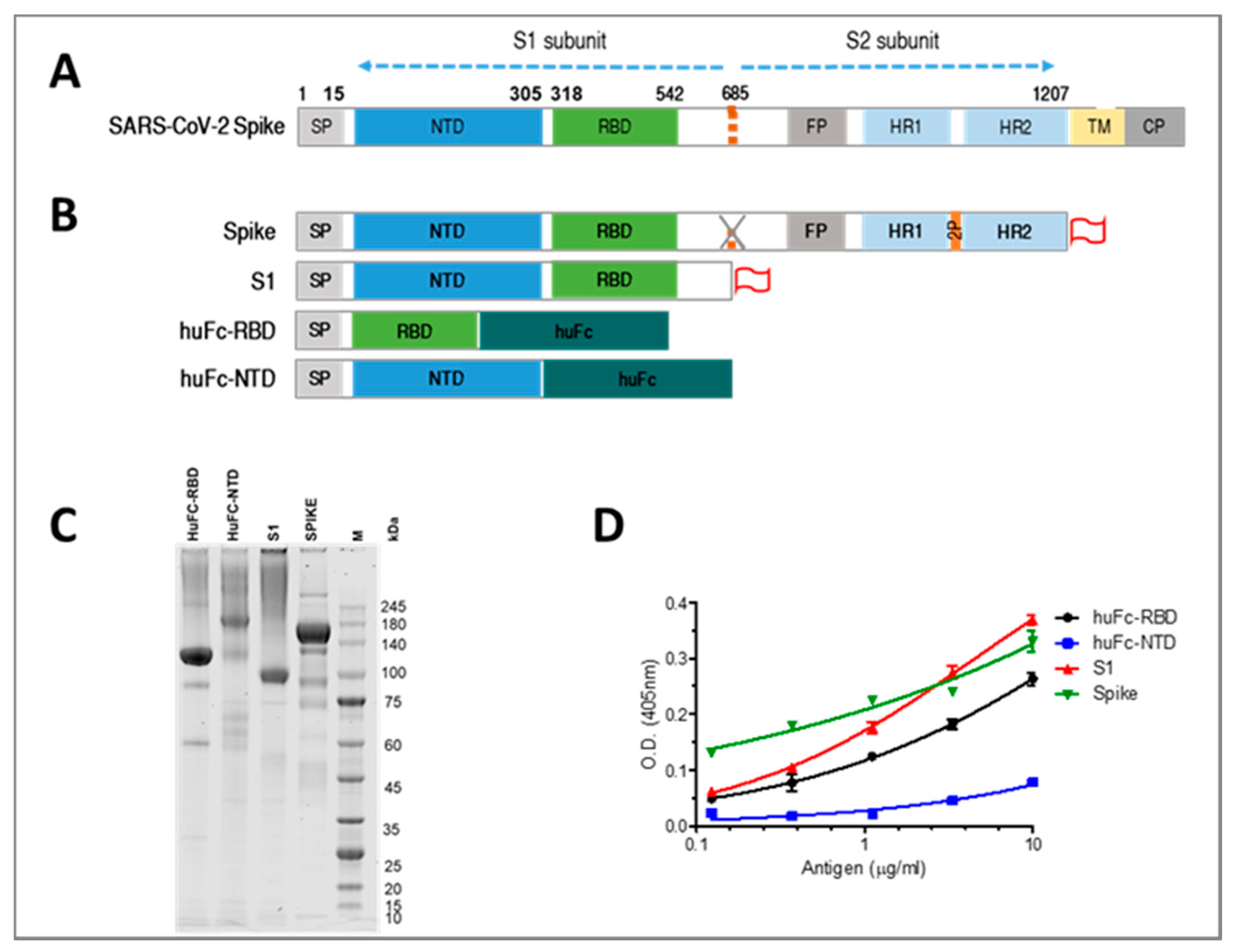 Viruses 13 00566 g001 Viruses 13 00566 g001