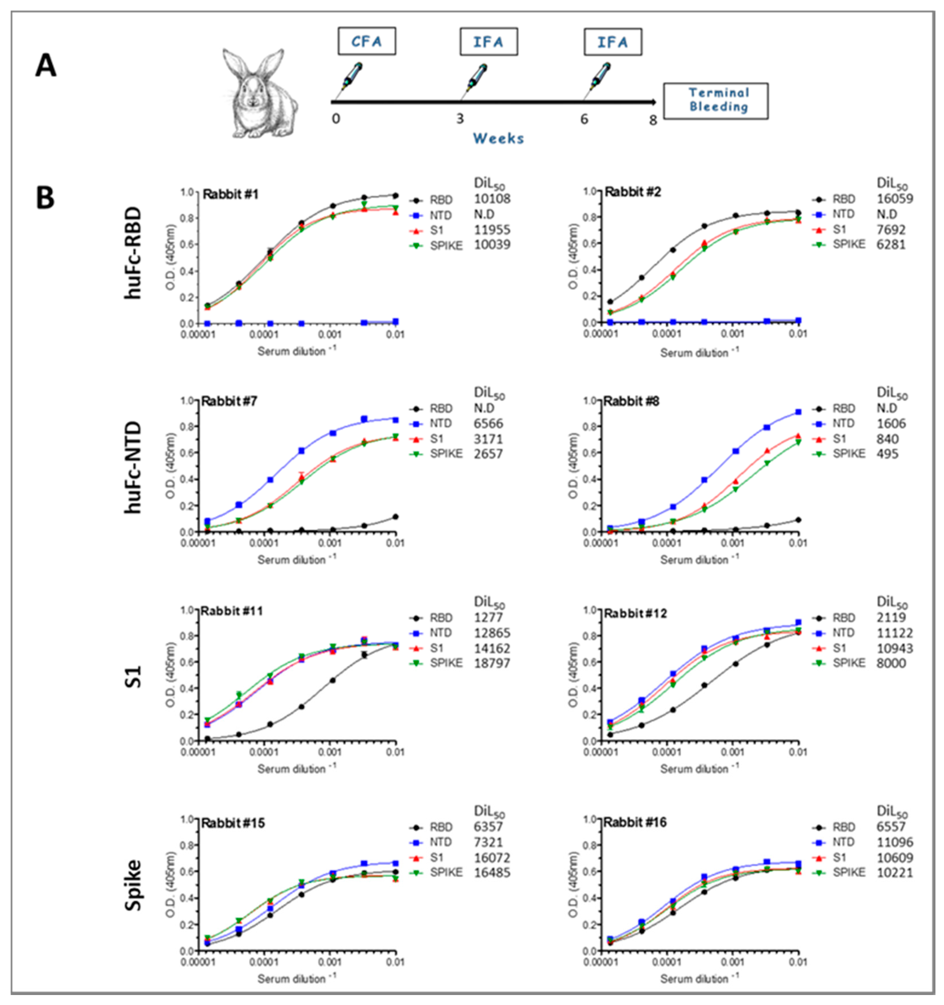 Viruses 13 00566 g002 Viruses 13 00566 g002