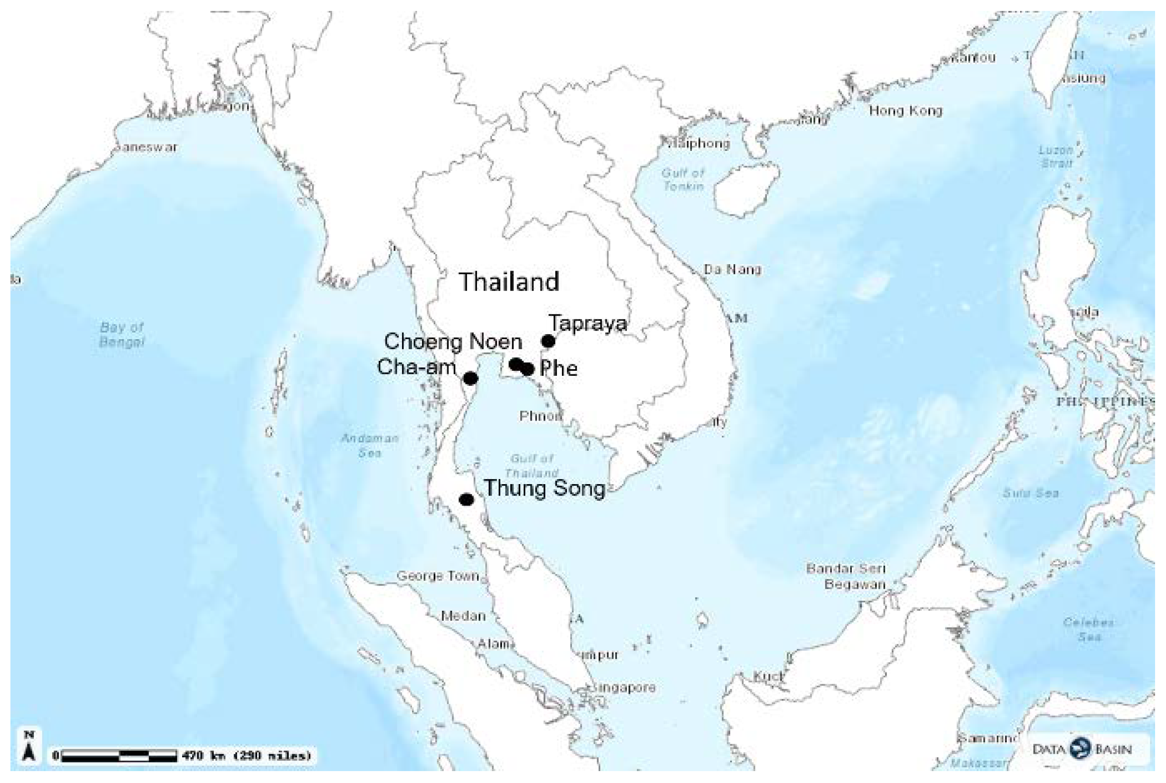 Viruses 13 00571 g001