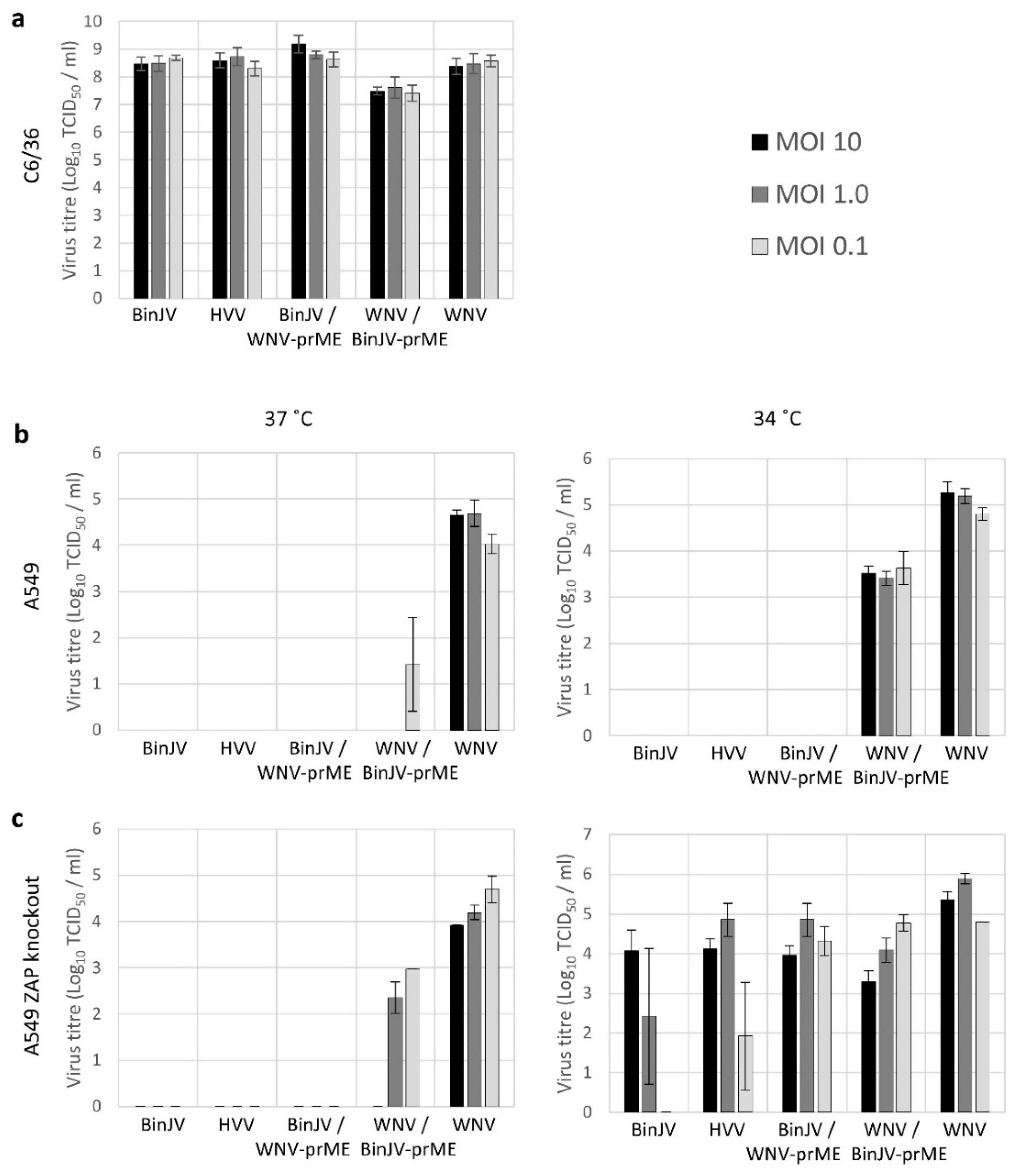 Viruses 13 00573 g006