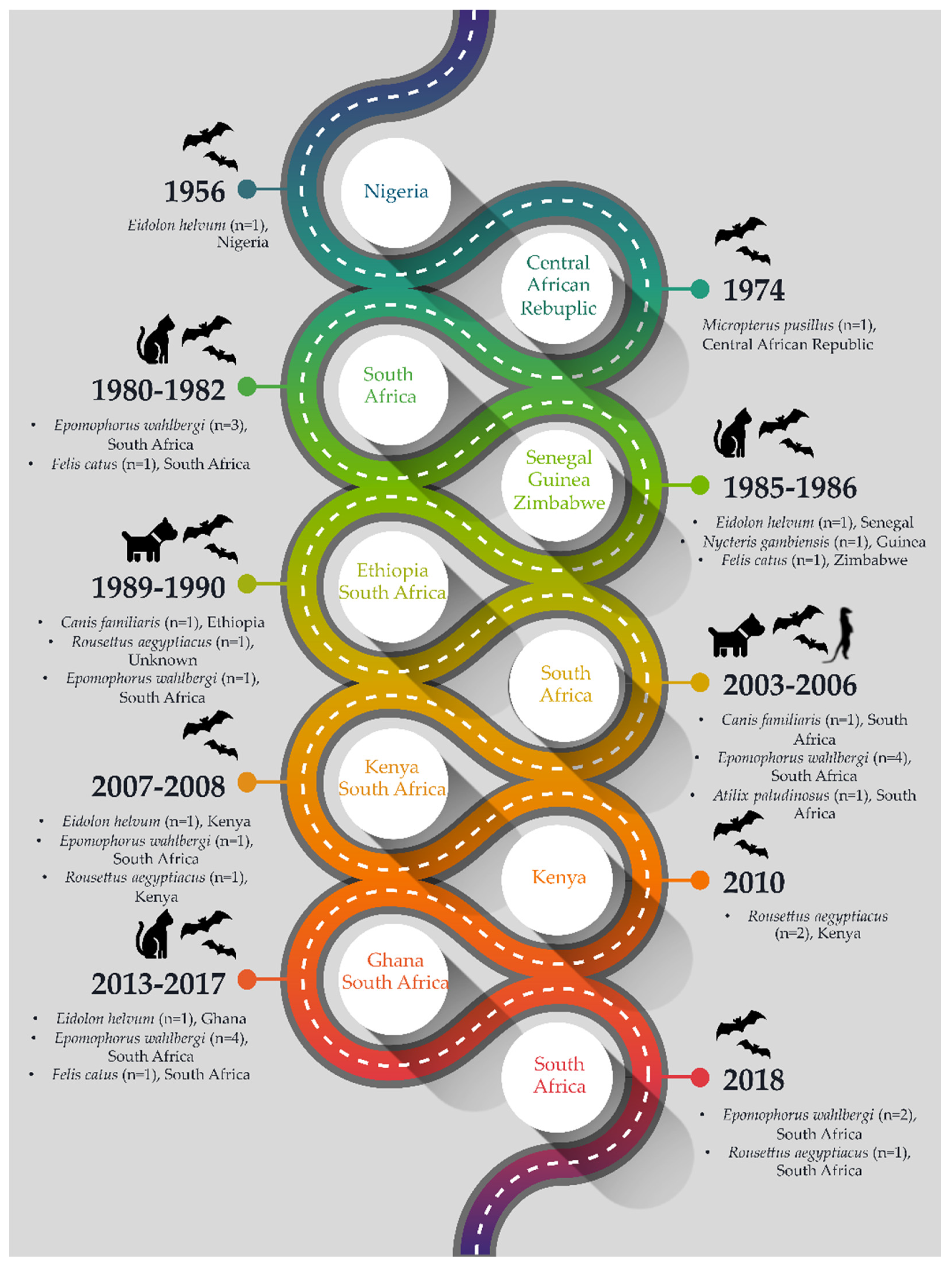 Viruses 13 00576 g001