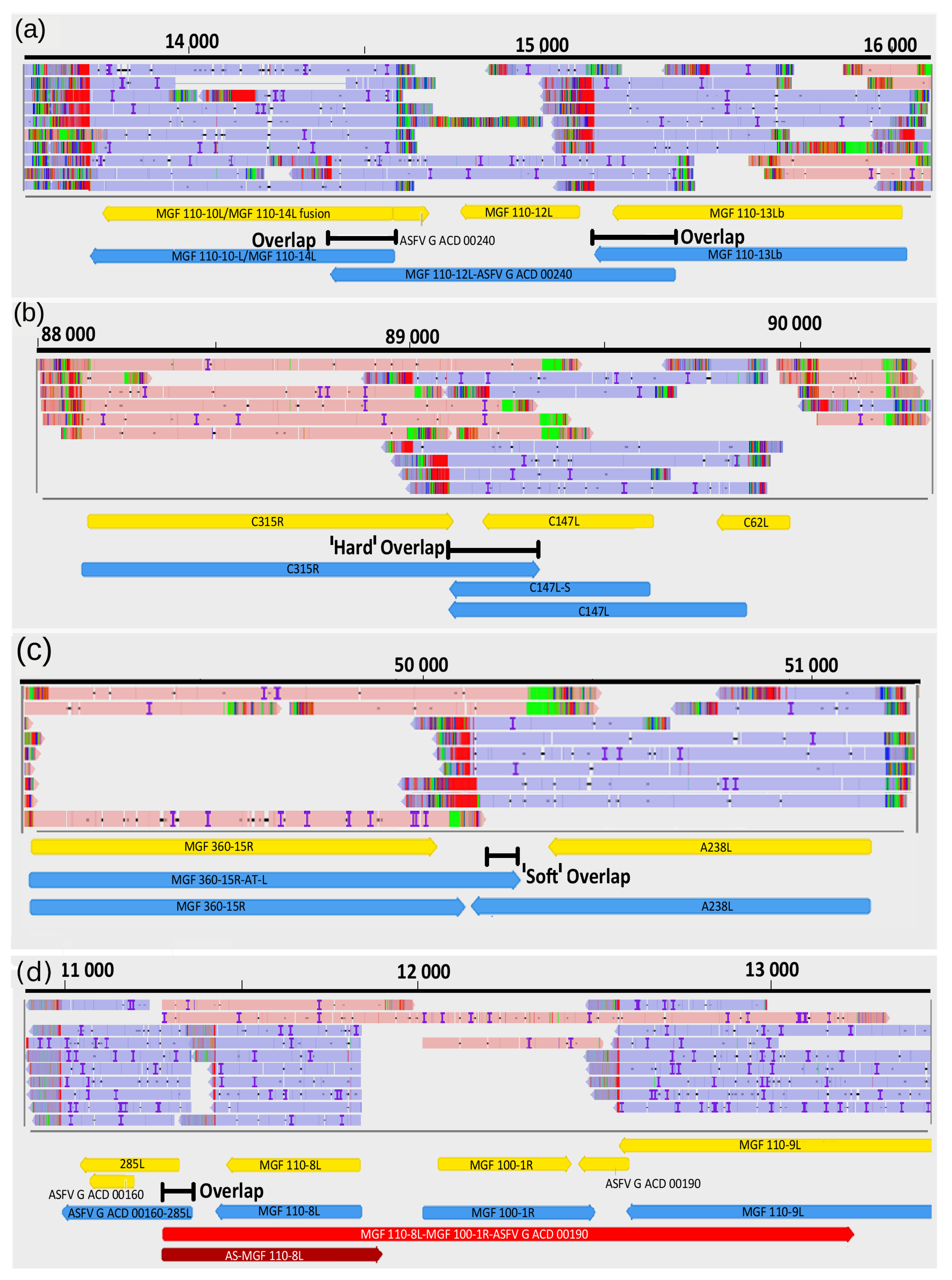 Viruses 13 00579 g005