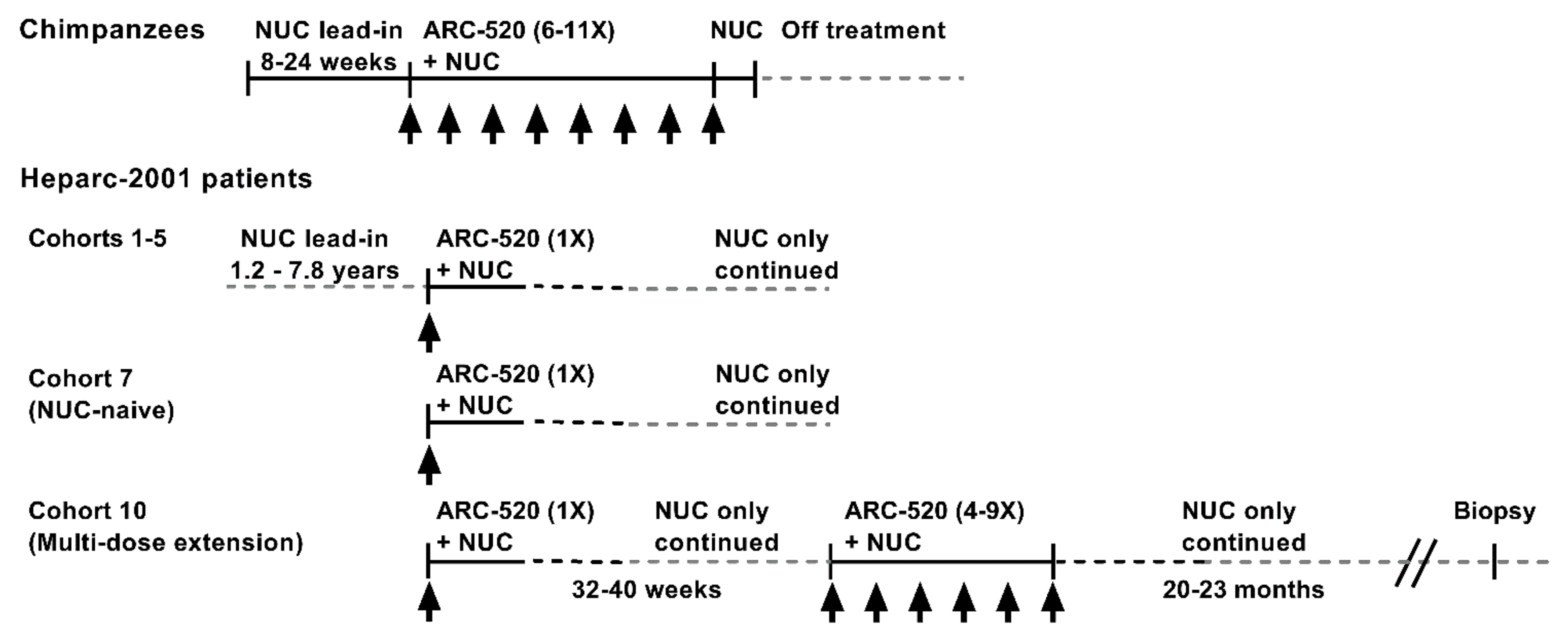 Viruses 13 00581 g001