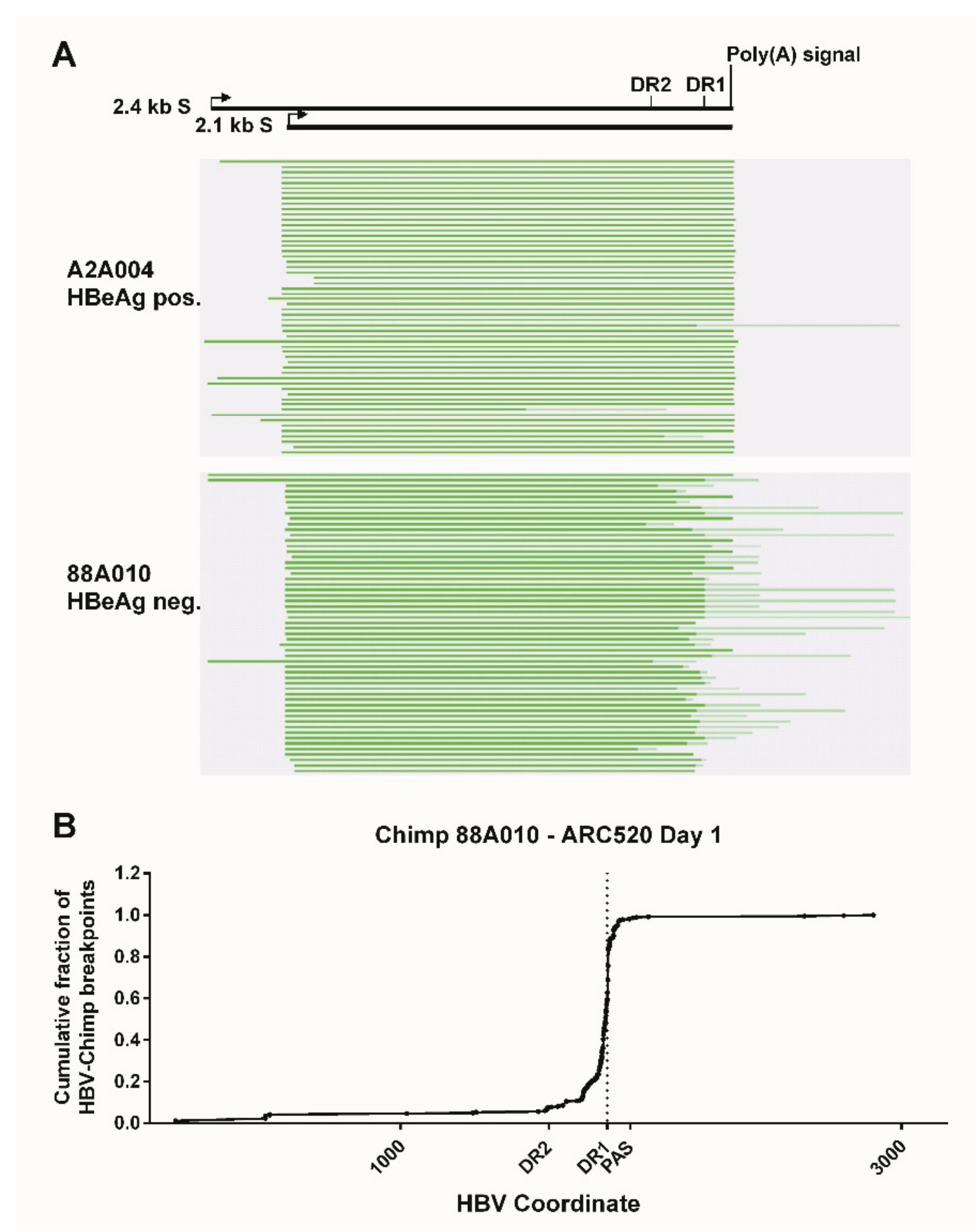Viruses 13 00581 g005
