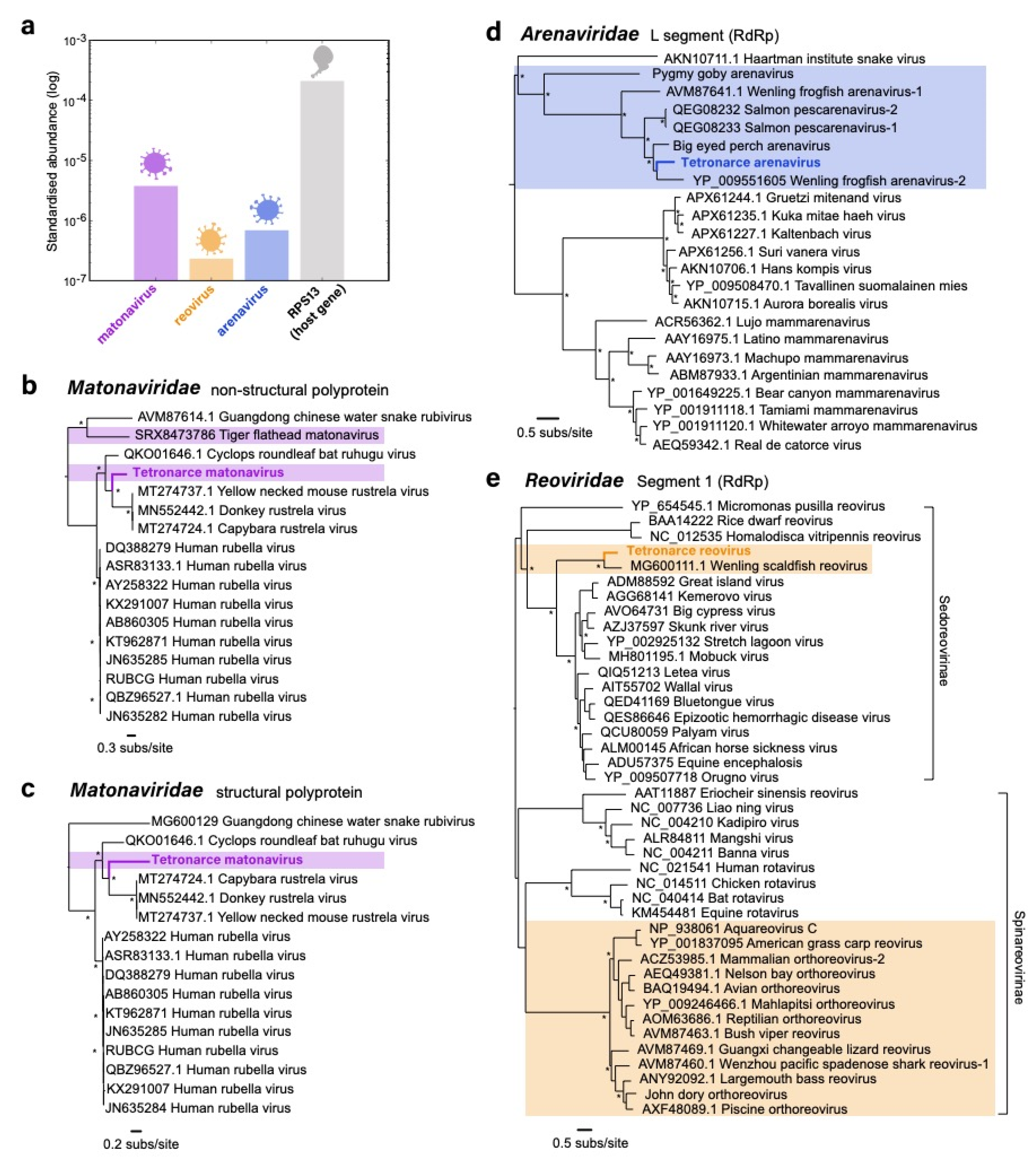 Viruses 13 00585 g001