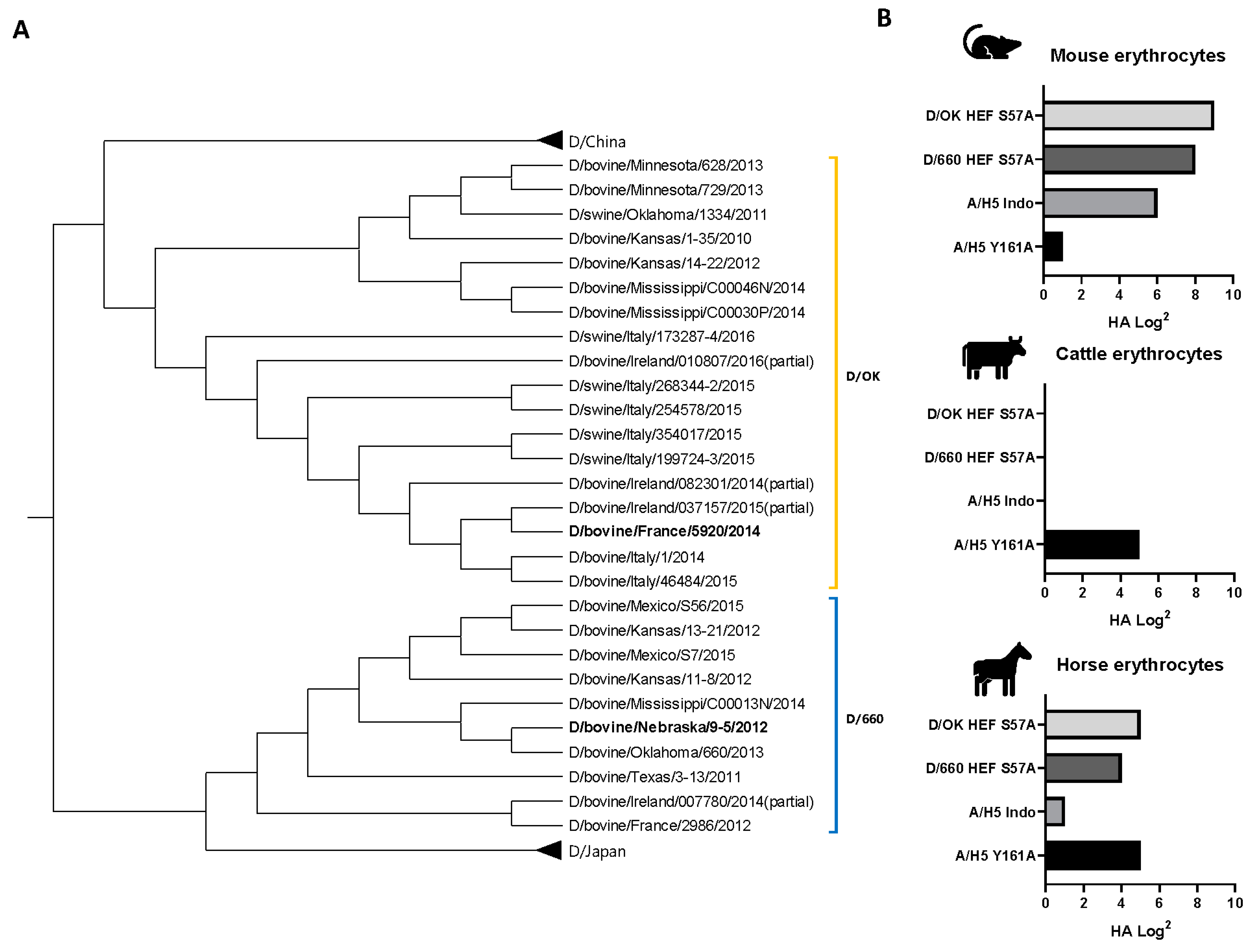 Viruses 13 00586 g002