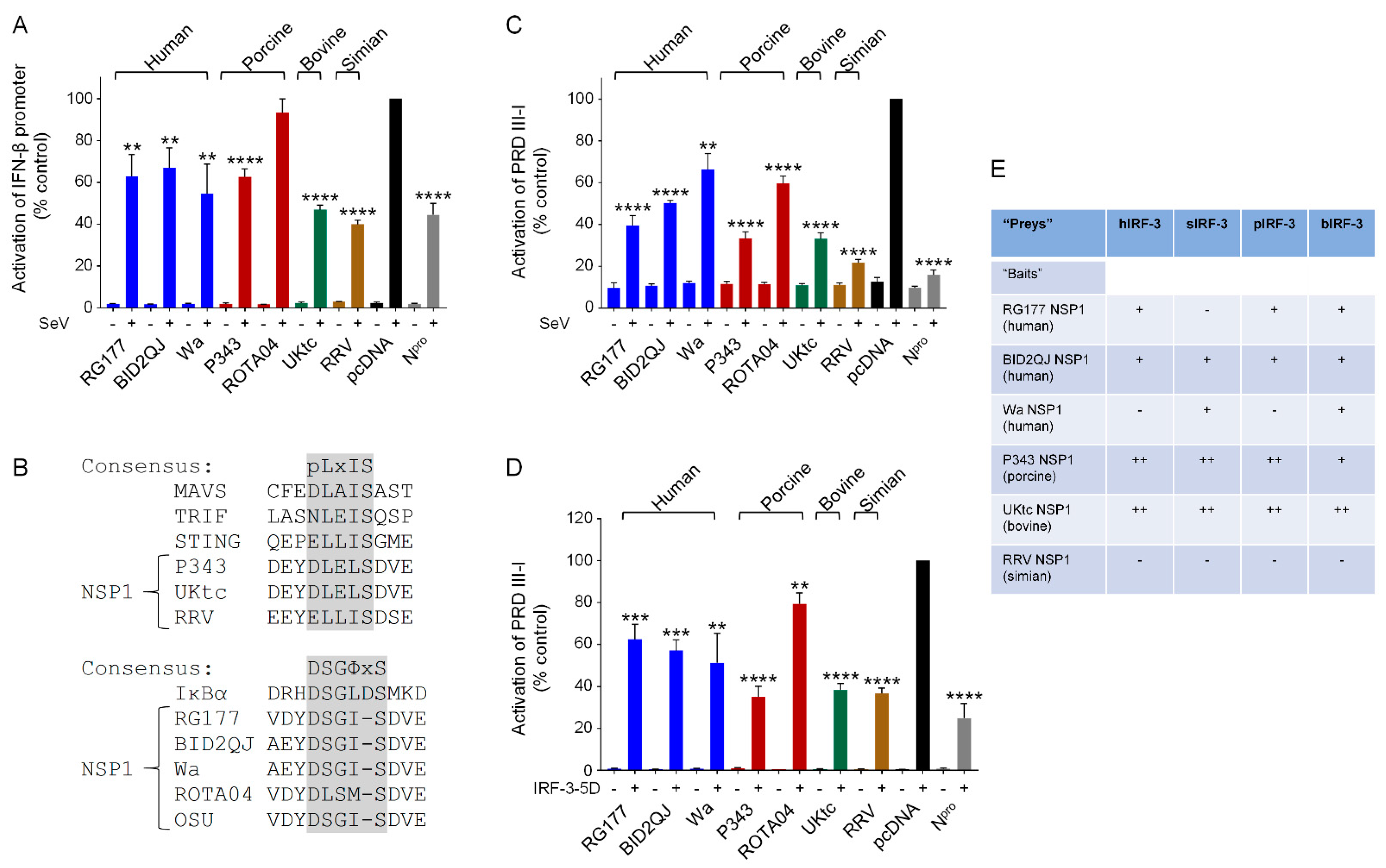 Viruses 13 00589 g001
