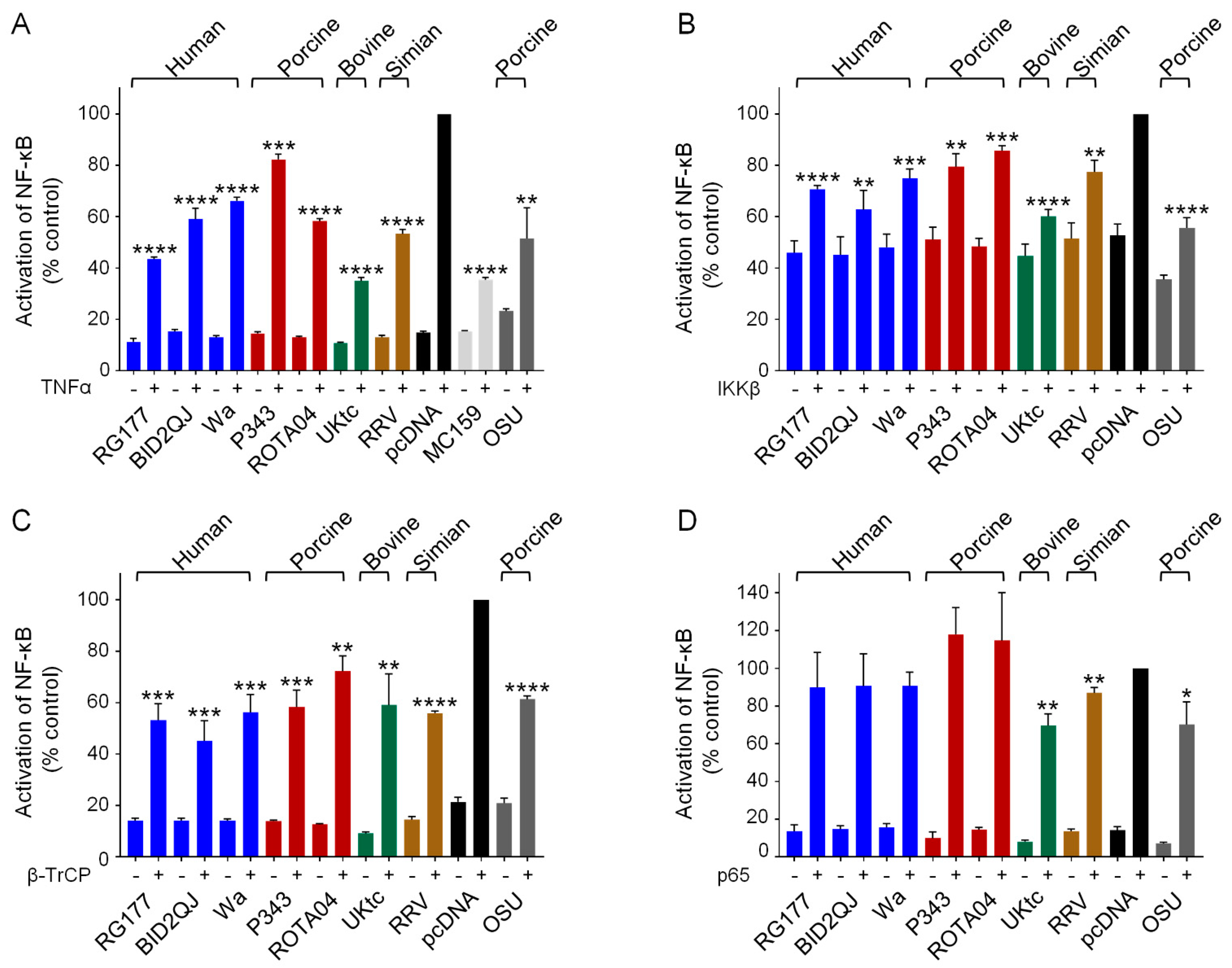 Viruses 13 00589 g003