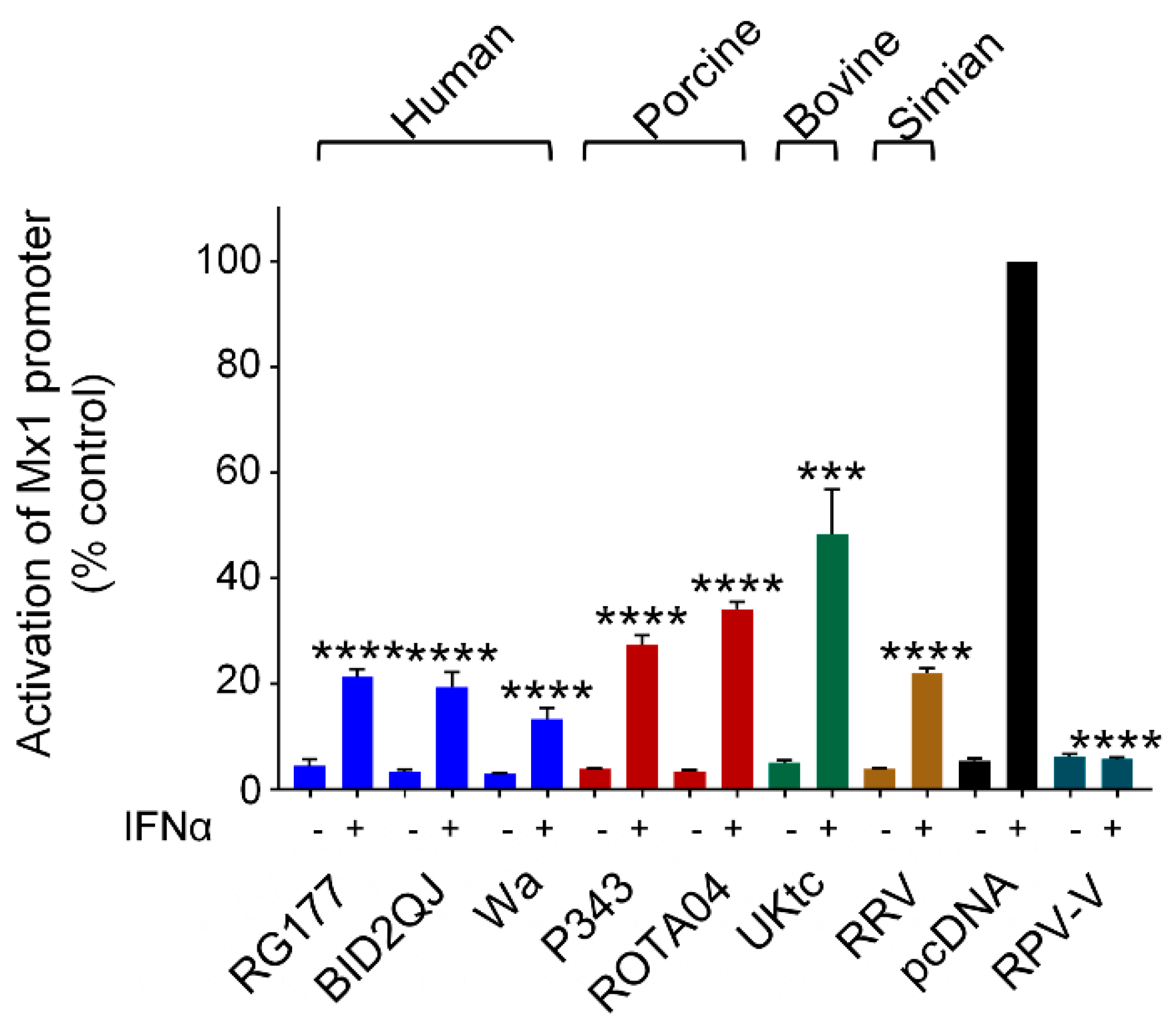 Viruses 13 00589 g006