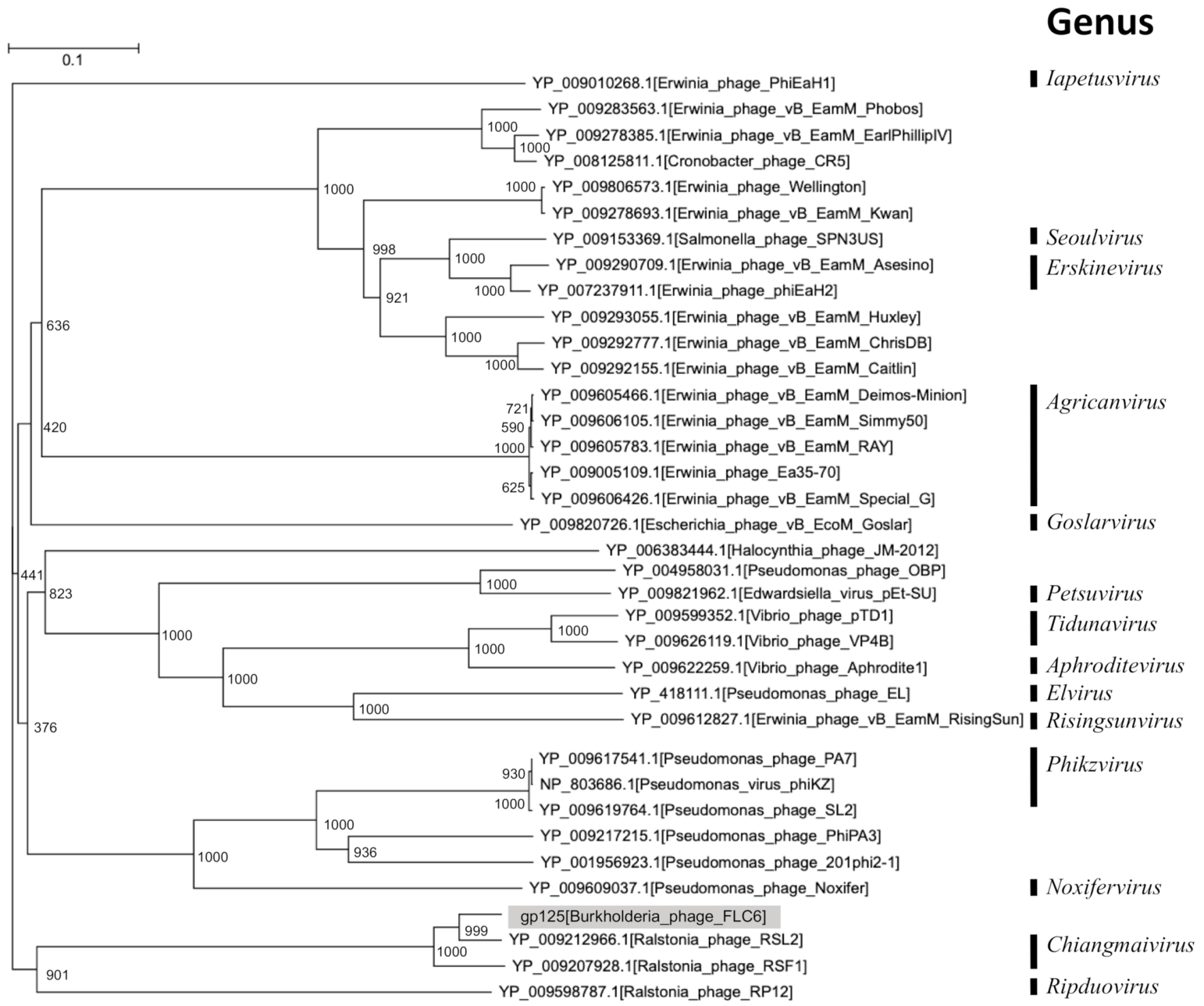 Viruses 13 00591 g004