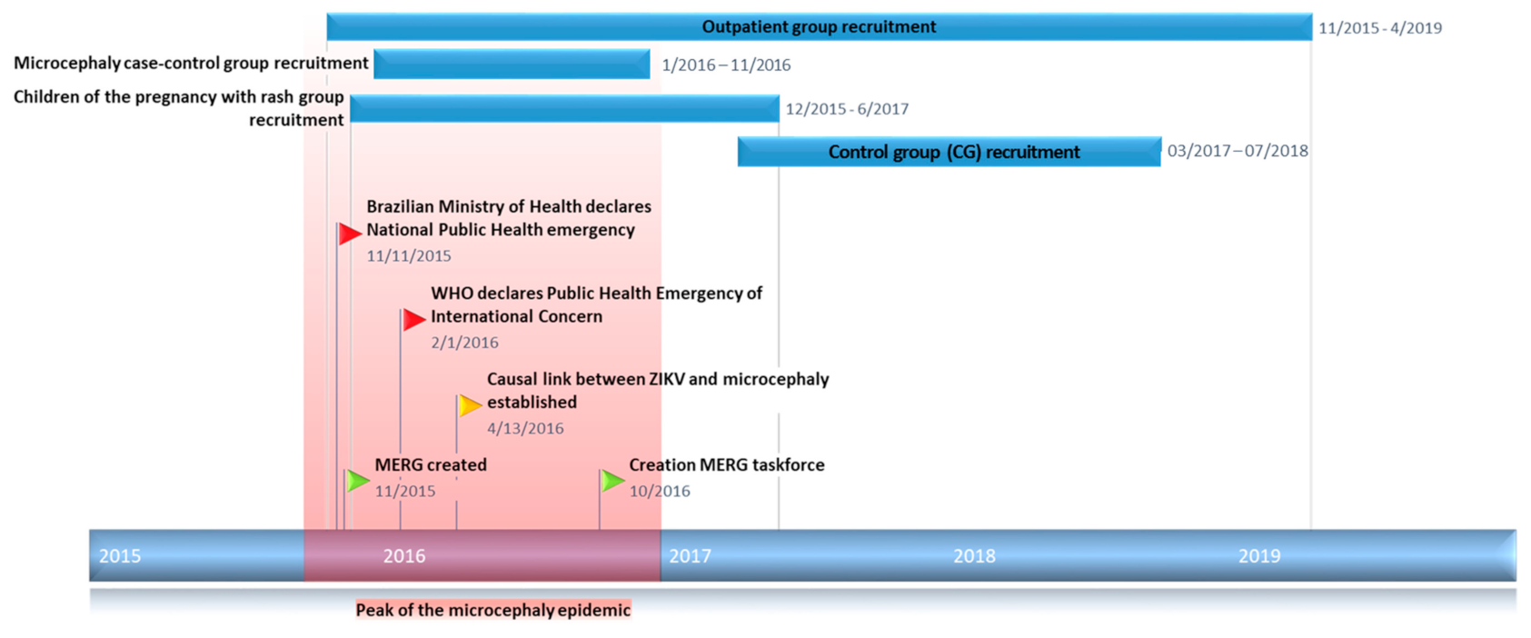 Viruses 13 00602 g001