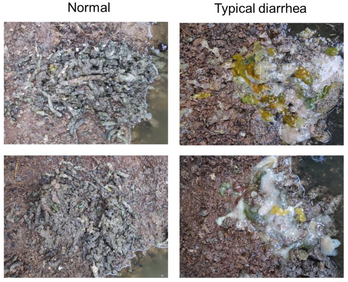 Viruses 13 00606 g003 Viruses 13 00606 g003