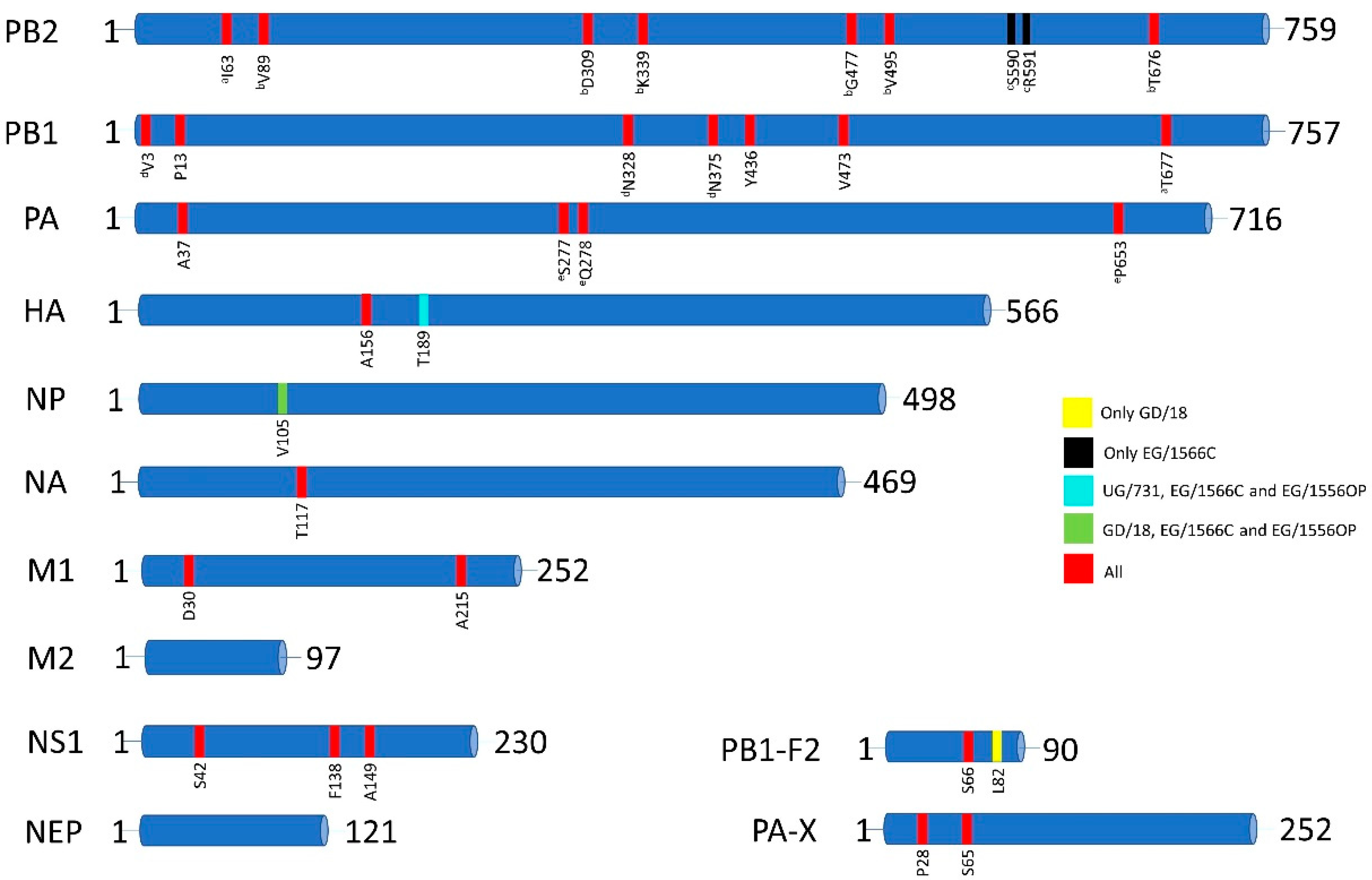 Viruses 13 00607 g001