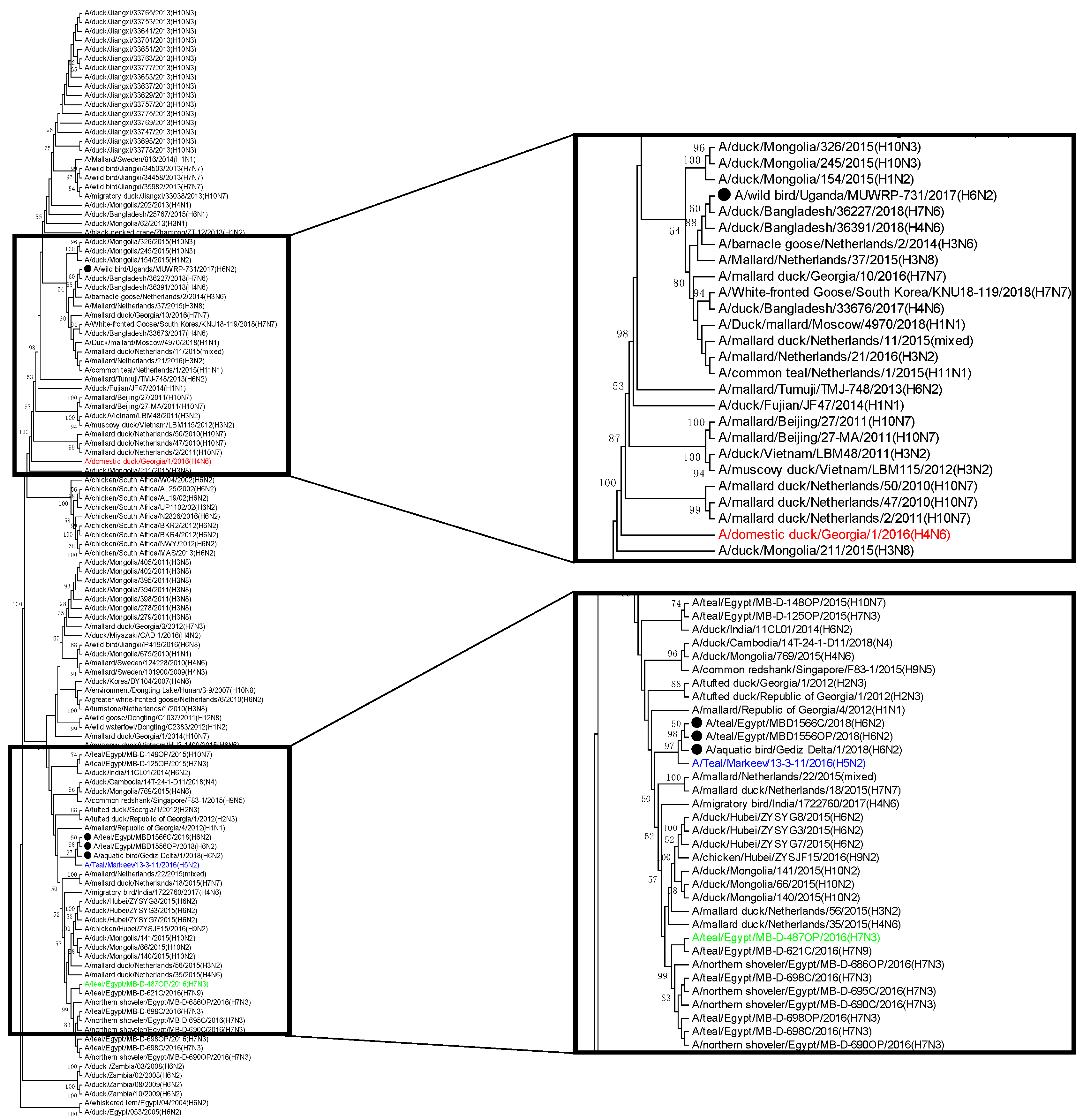 Viruses 13 00607 g002