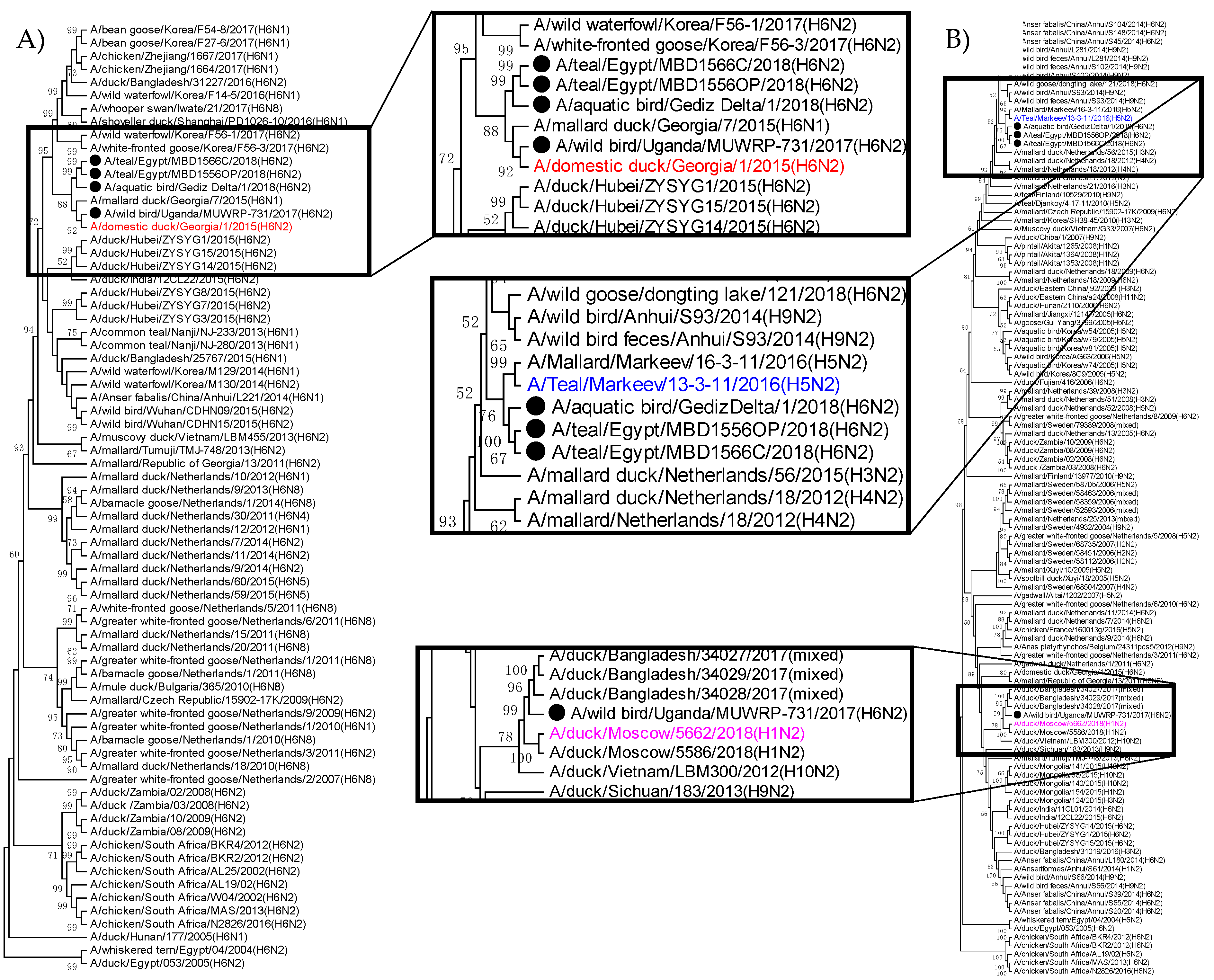 Viruses 13 00607 g003