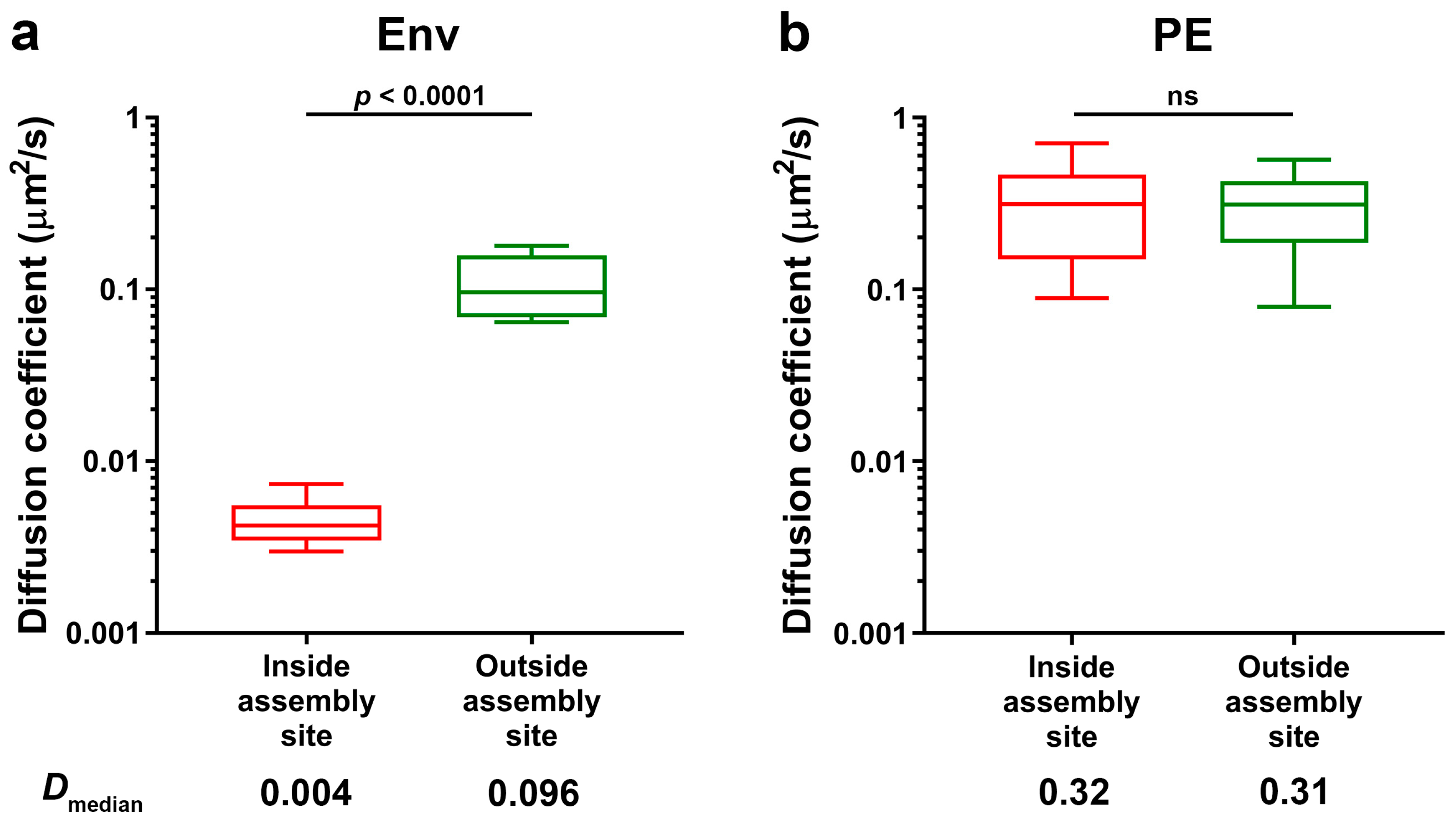 Viruses 13 00608 g003 Viruses 13 00608 g003