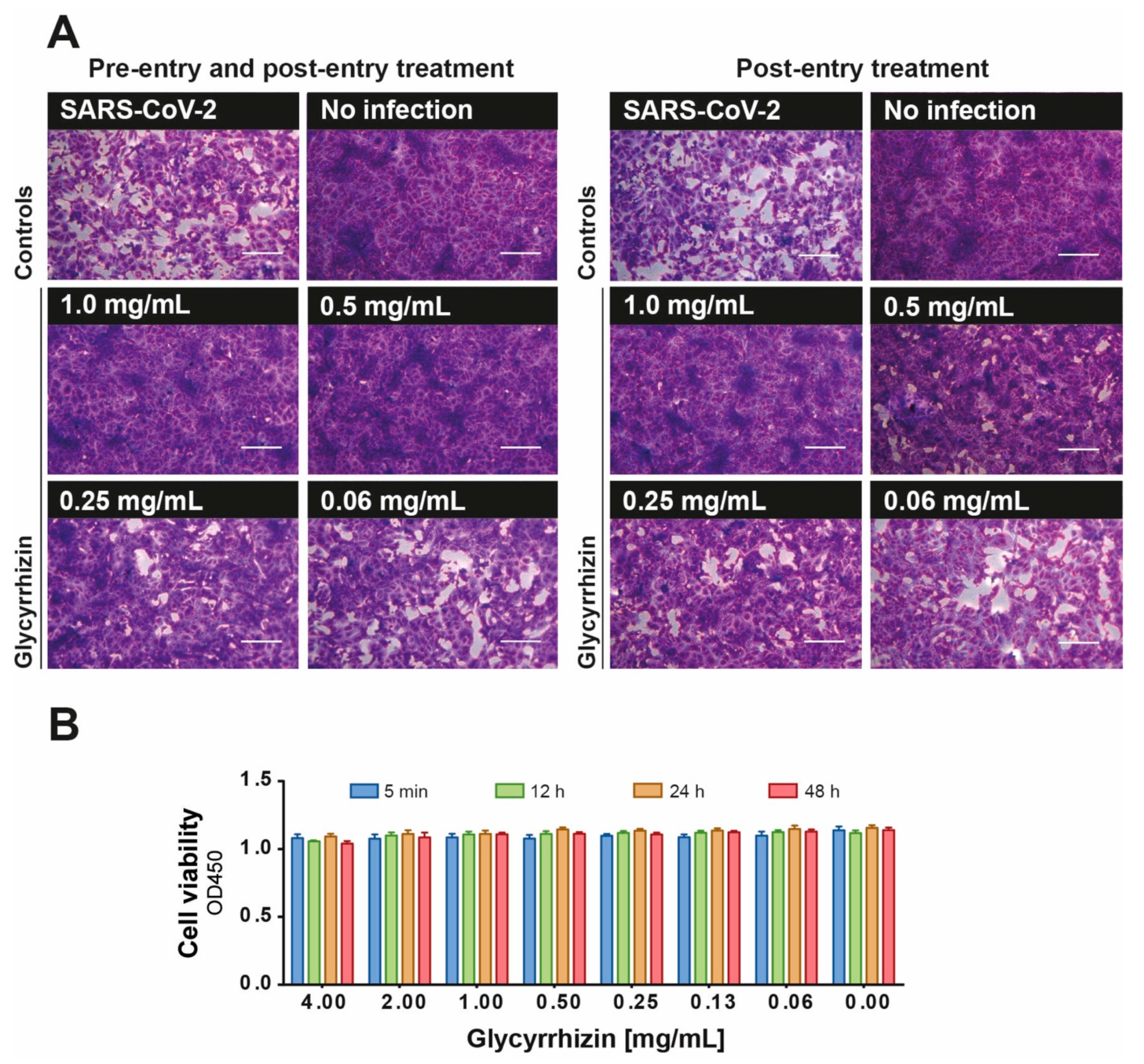 Viruses 13 00609 g002