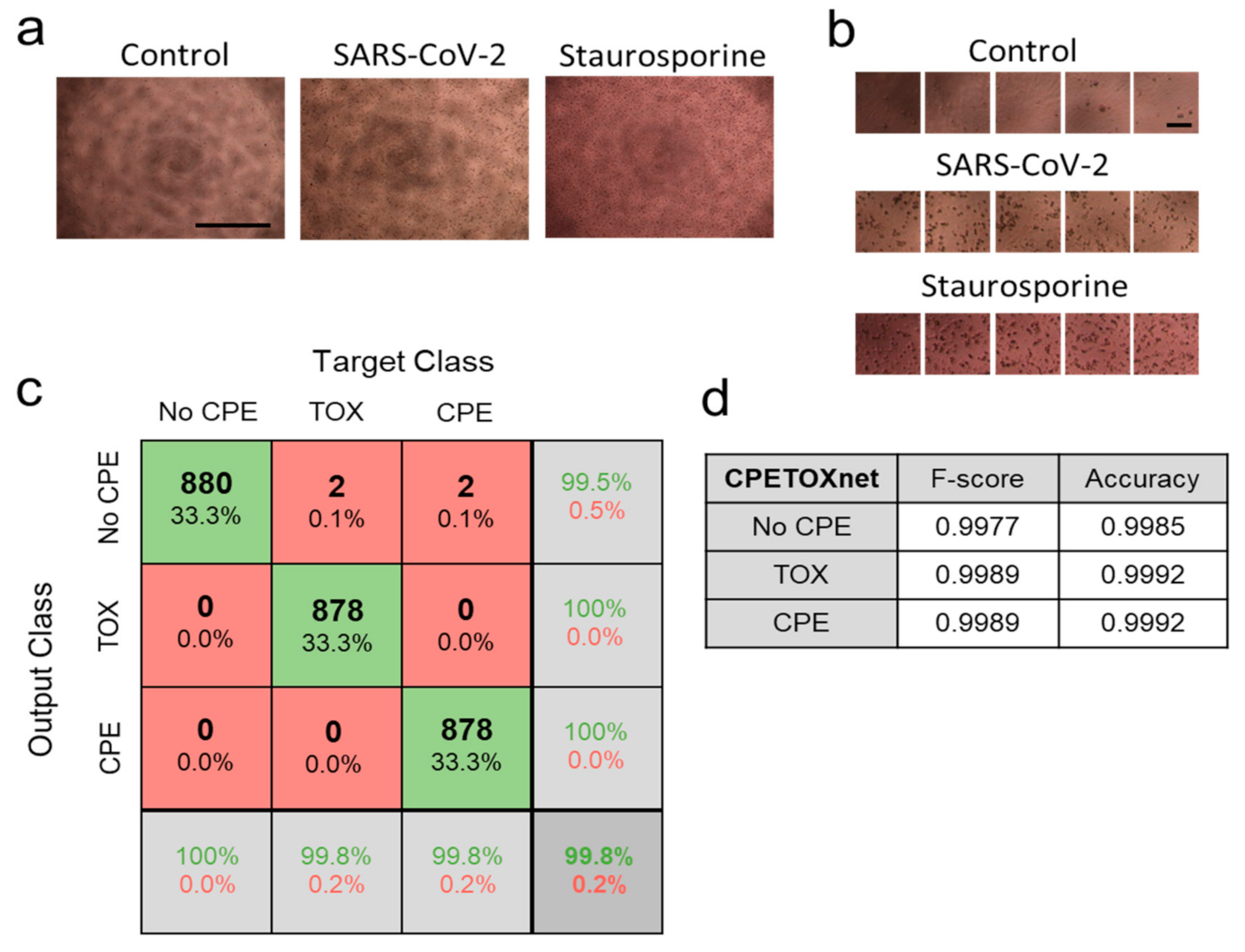 Viruses 13 00610 g004a