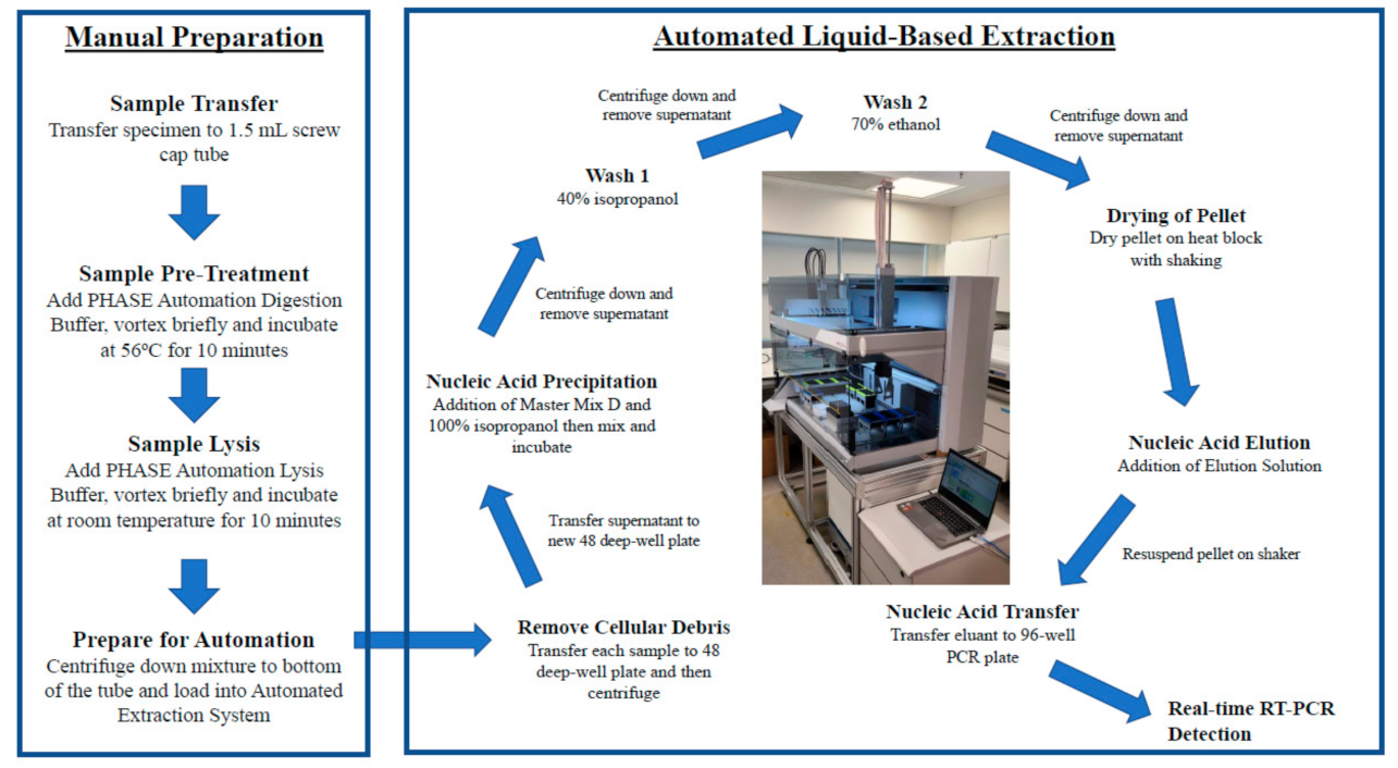 Viruses 13 00615 g001 Viruses 13 00615 g001