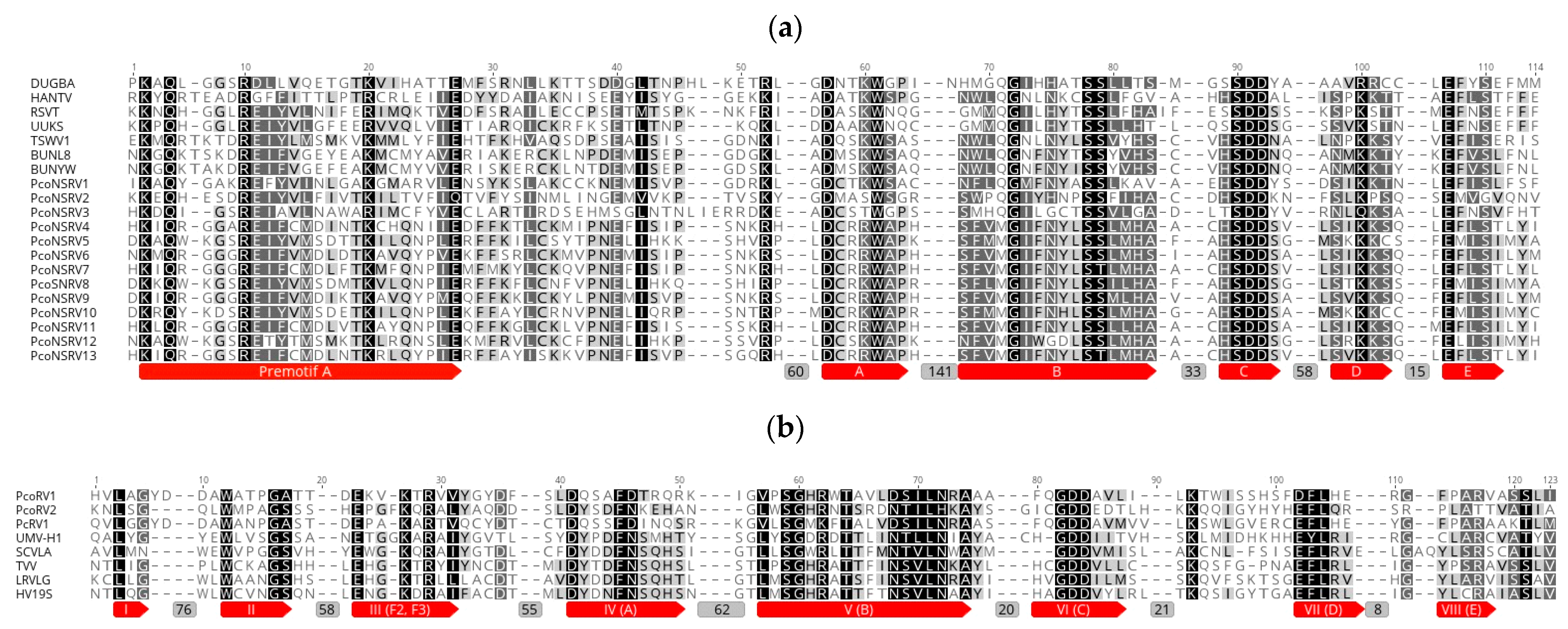 Viruses 13 00620 g003