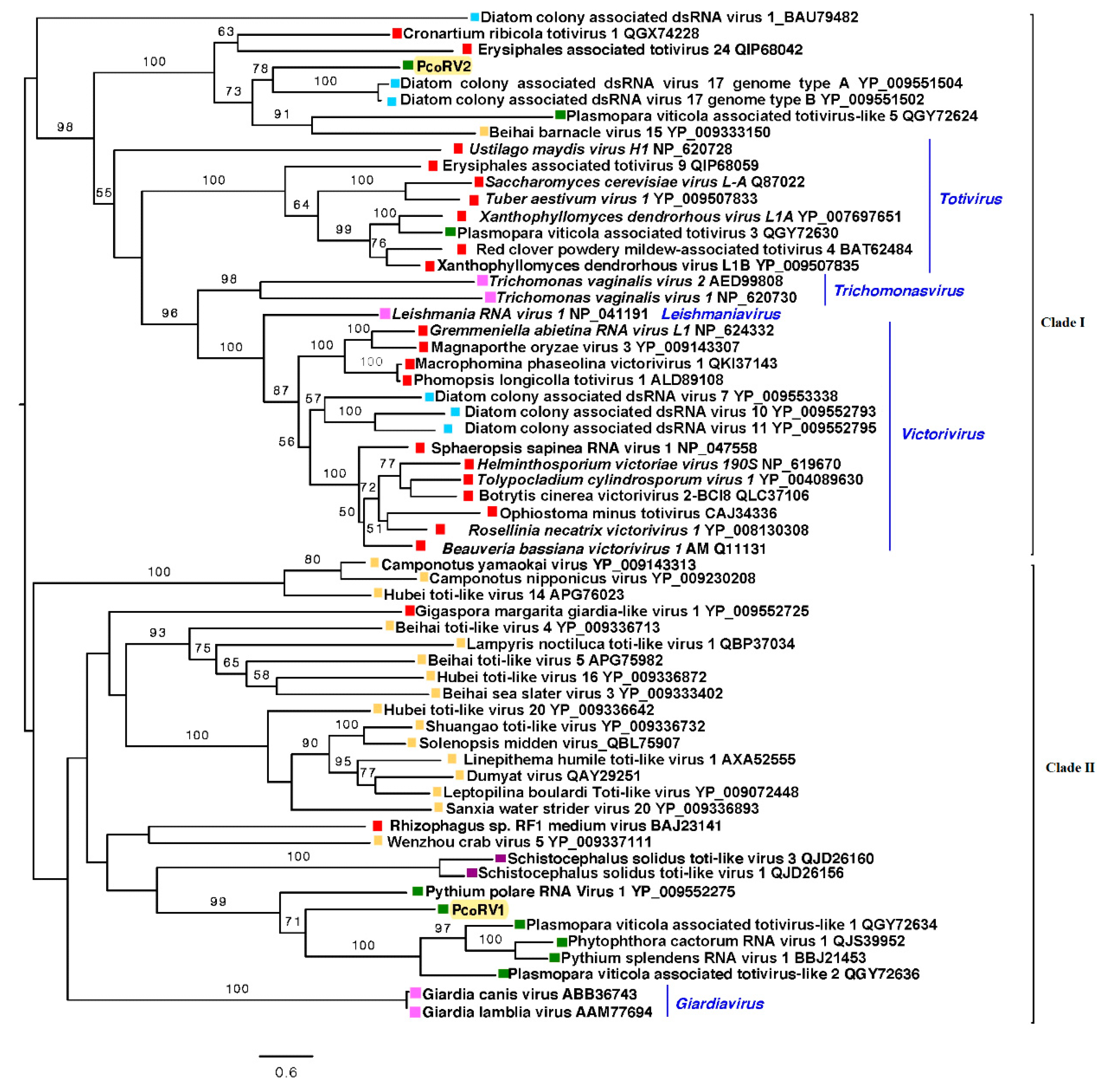 Viruses 13 00620 g005