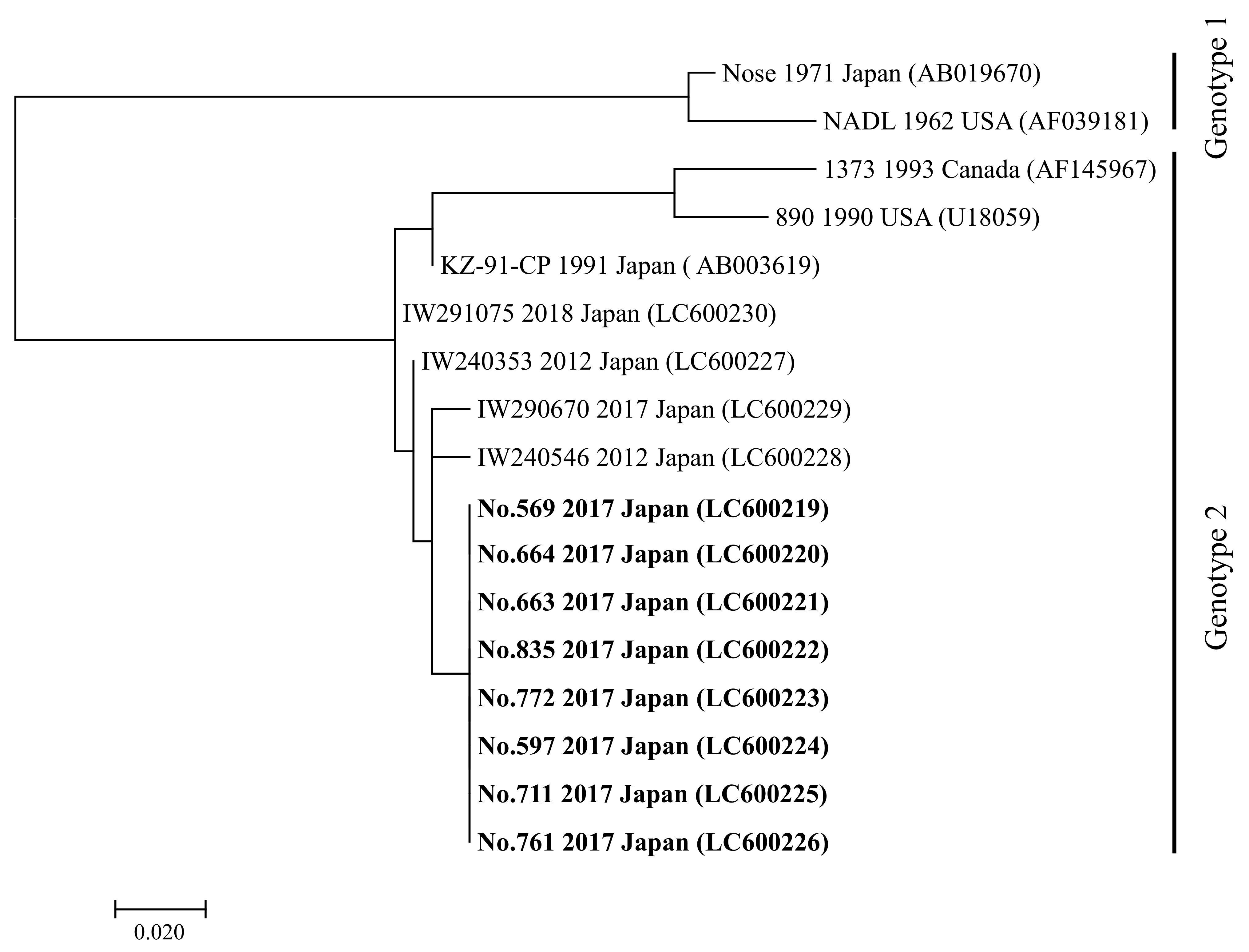 Viruses 13 00621 g003 Viruses 13 00621 g003