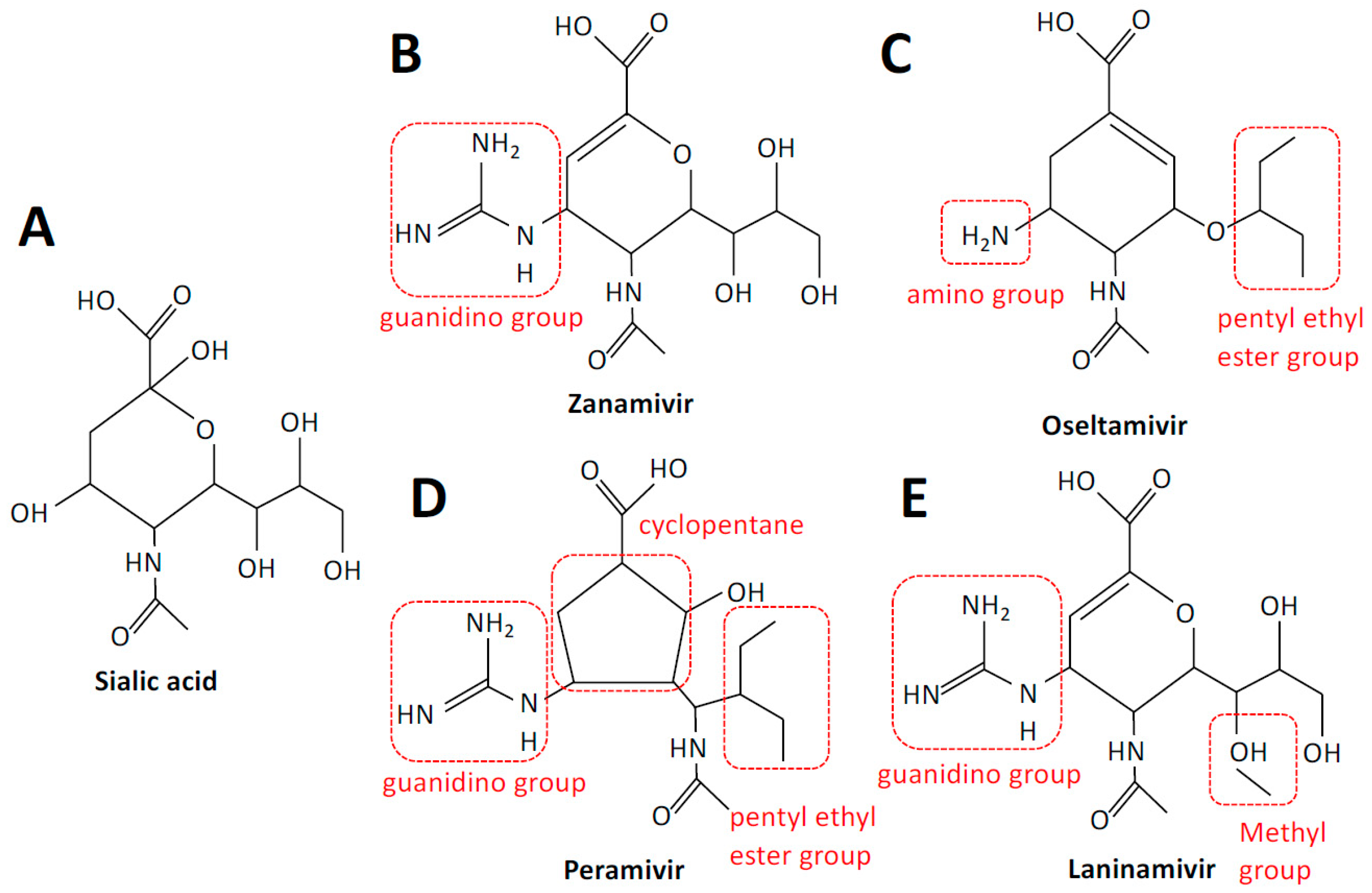 Viruses 13 00624 g002