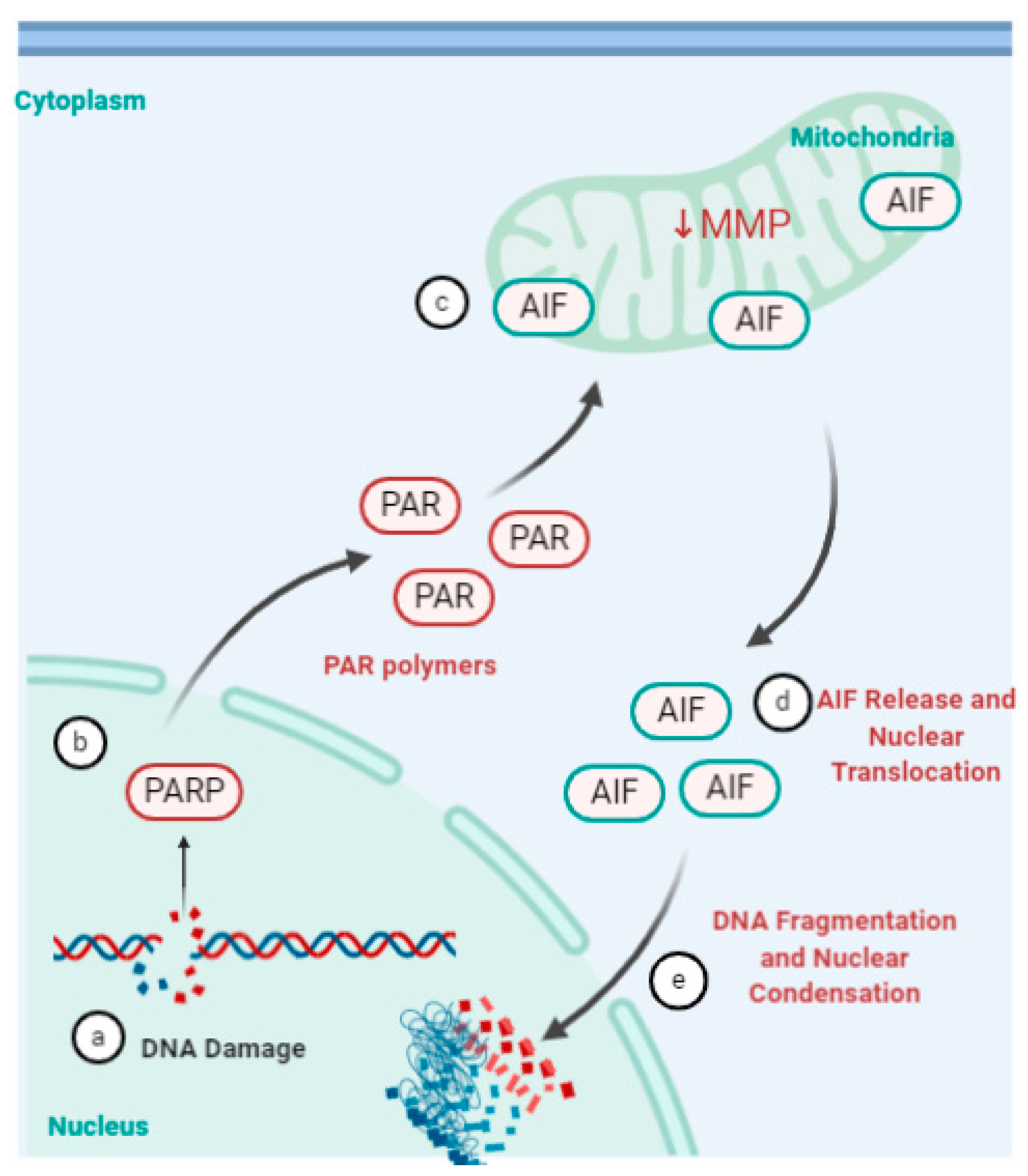 Viruses 13 00629 g005