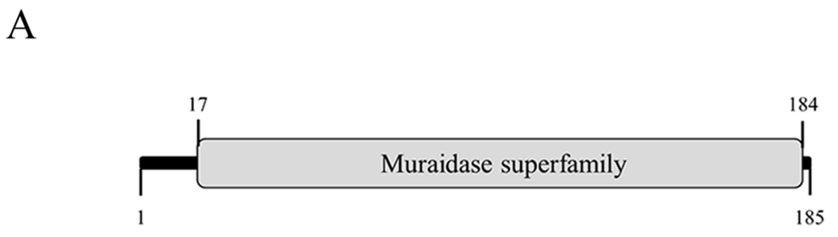 Viruses 13 00631 g005a