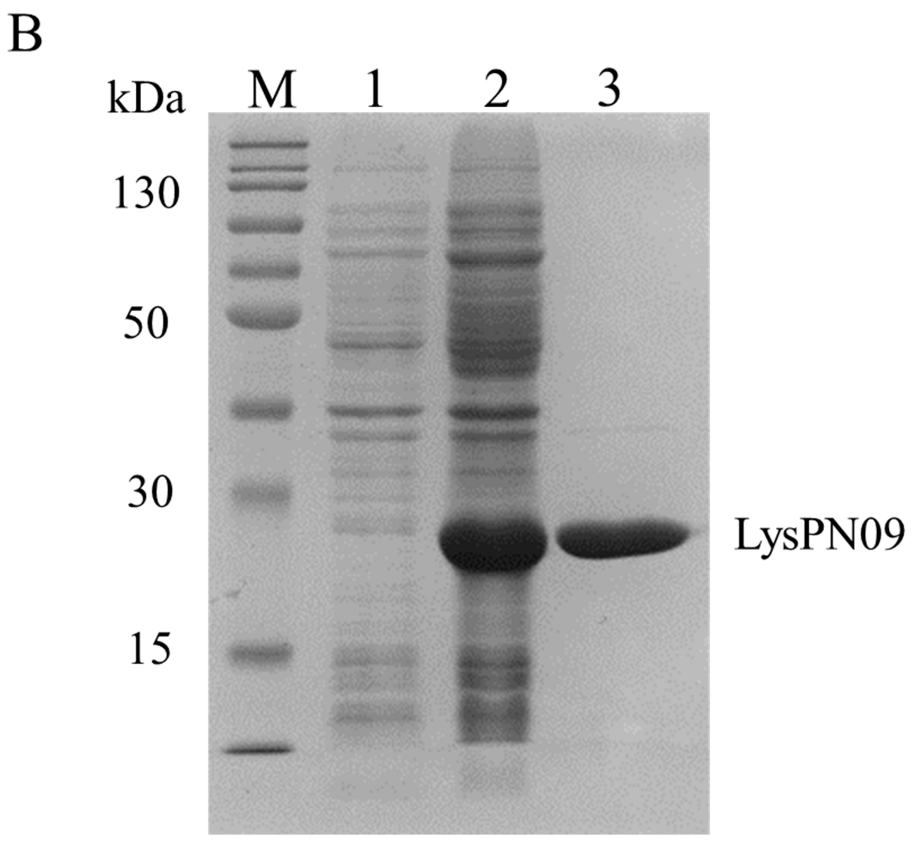 Viruses 13 00631 g005b