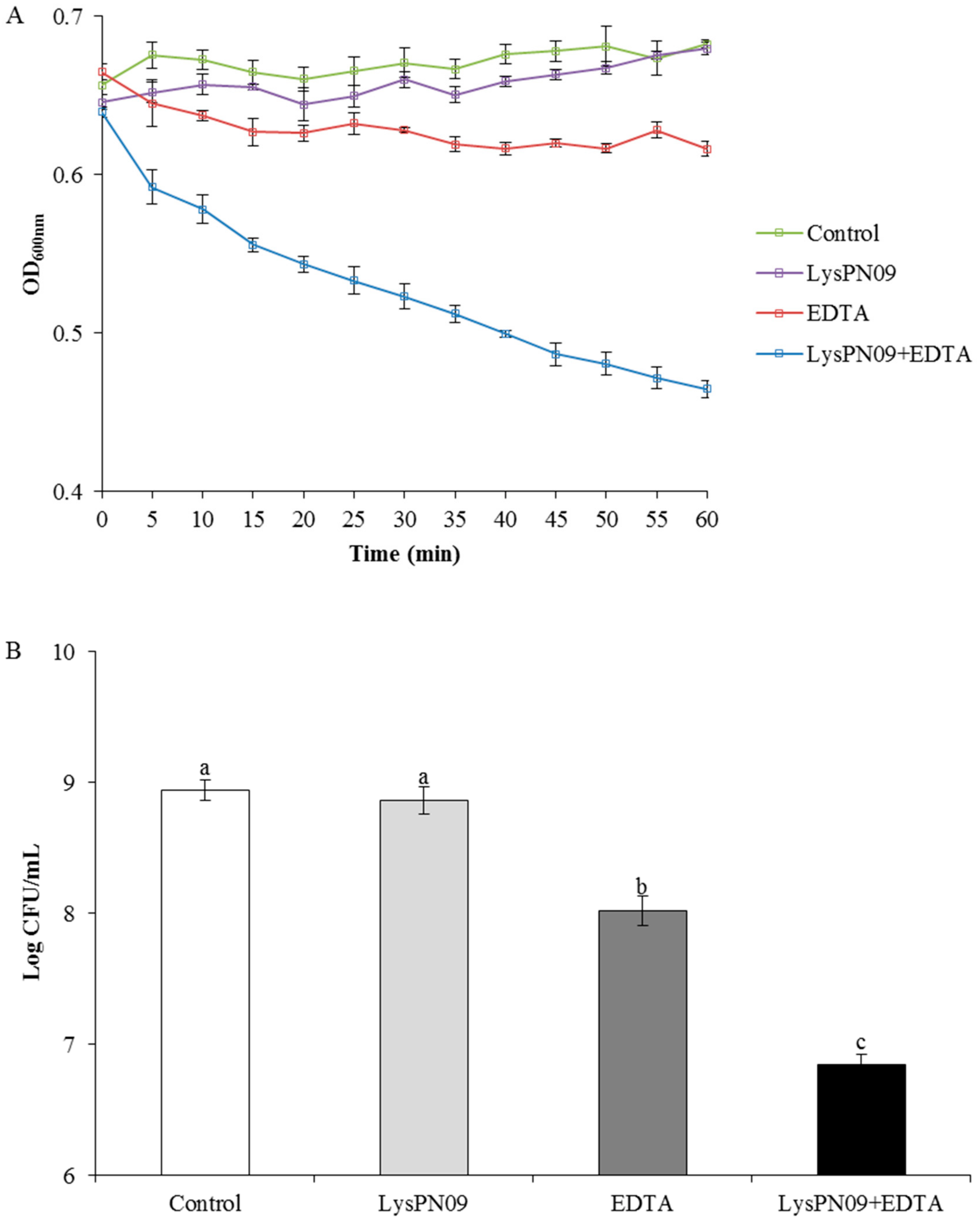 Viruses 13 00631 g008