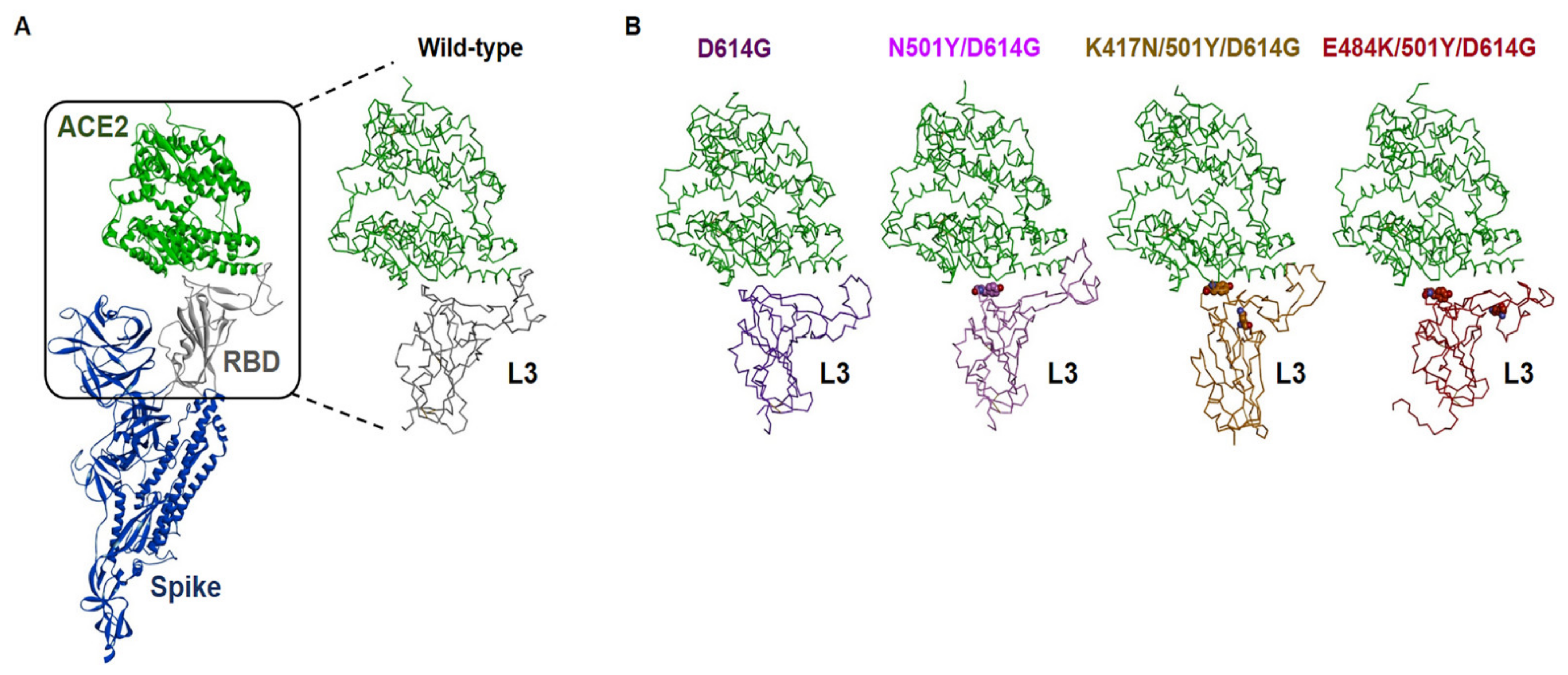 Viruses 13 00633 g002