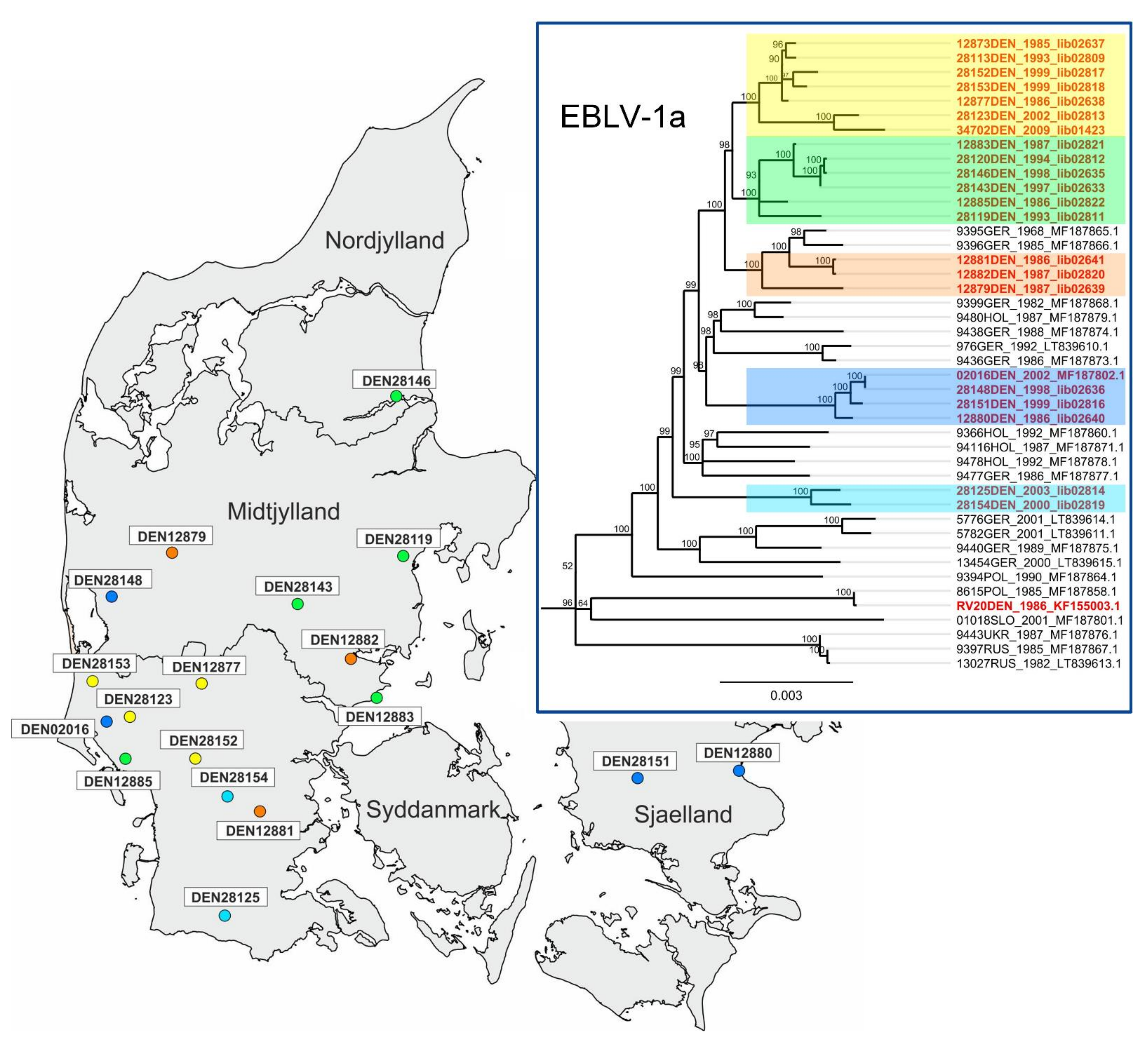 Viruses 13 00634 g002