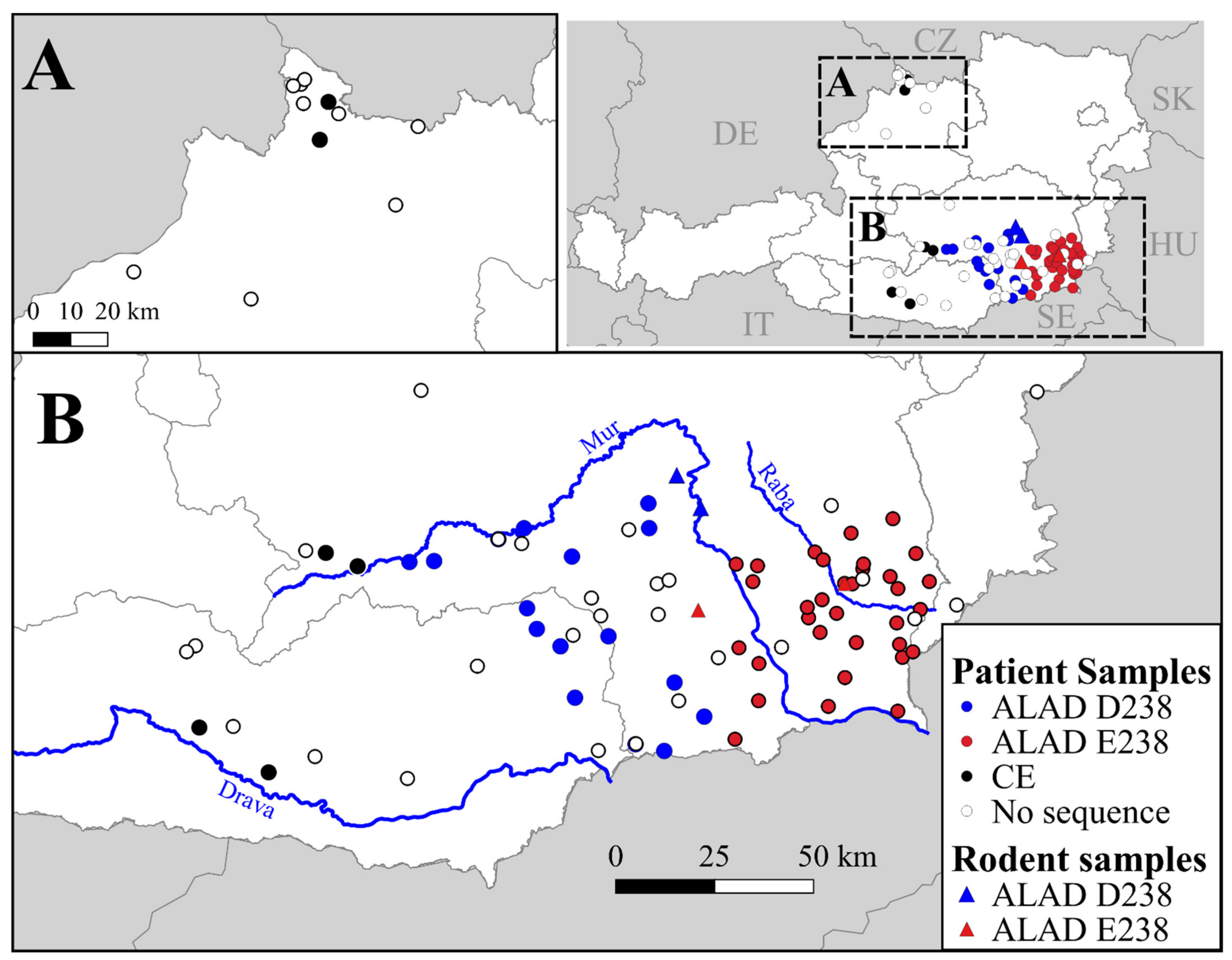 Viruses 13 00640 g002 Viruses 13 00640 g002