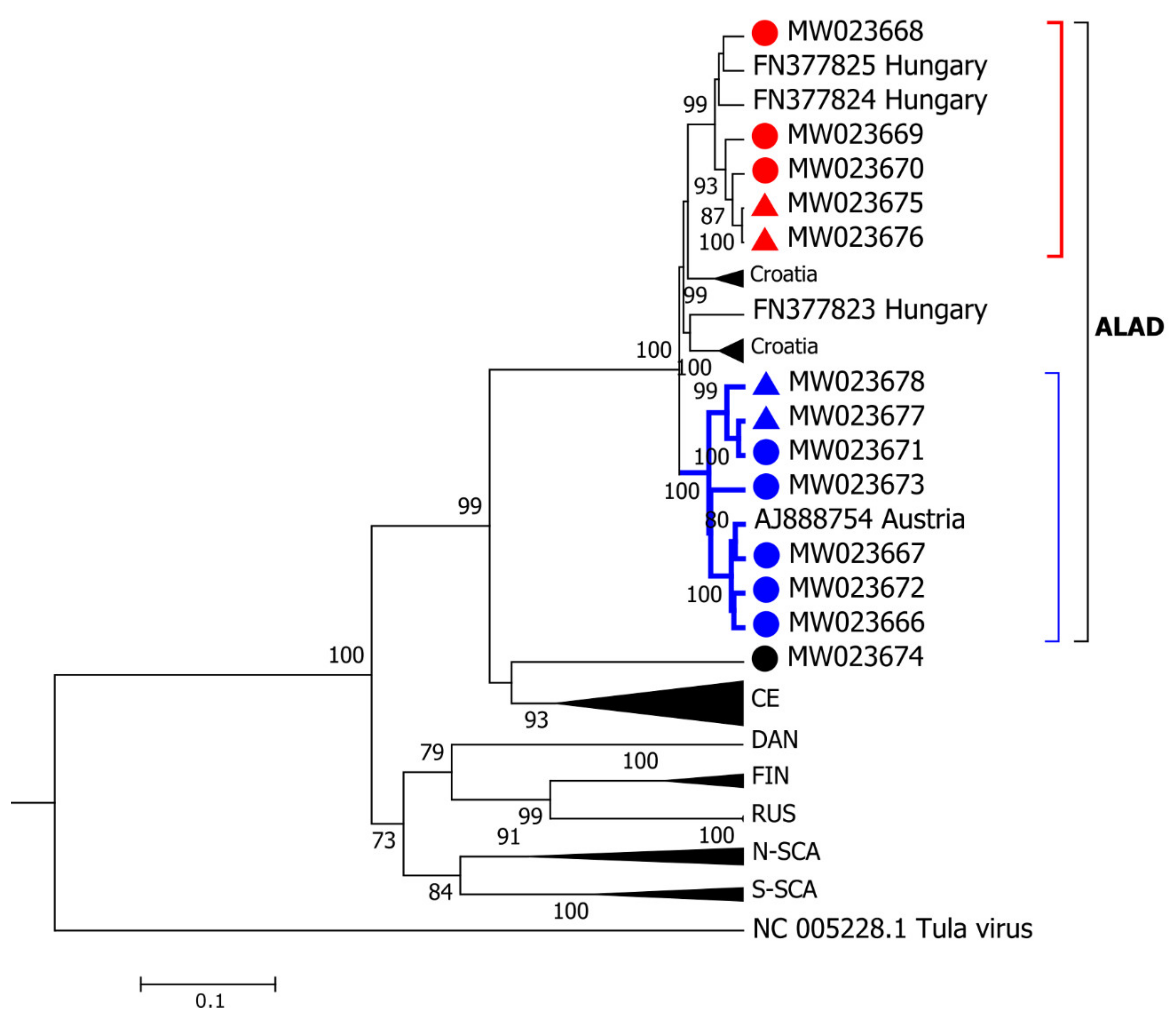 Viruses 13 00640 g005 Viruses 13 00640 g005