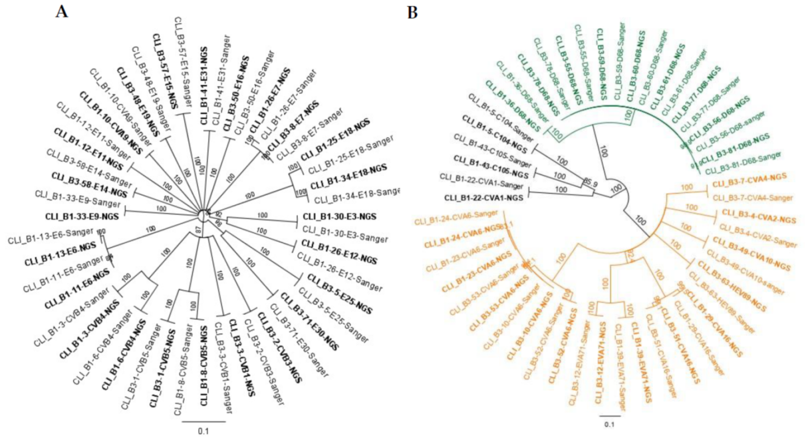Viruses 13 00641 g003