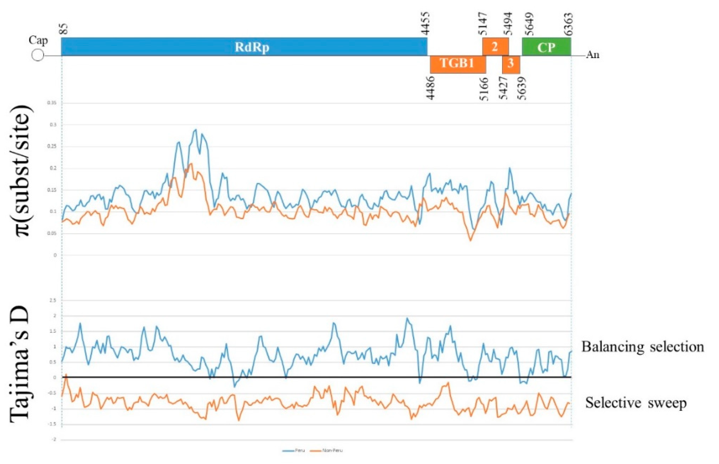 Viruses 13 00644 g003