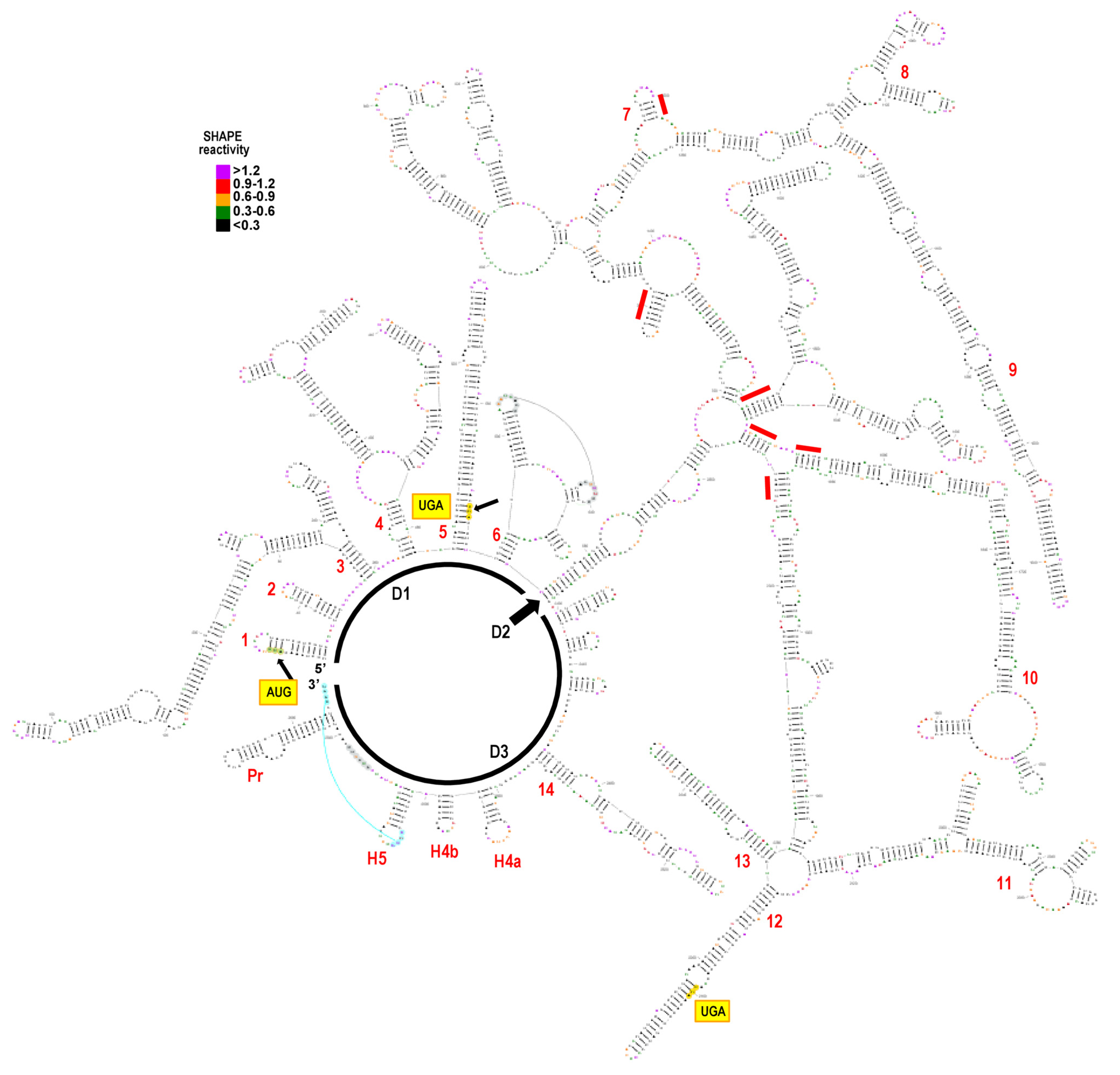 Viruses 13 00646 g003